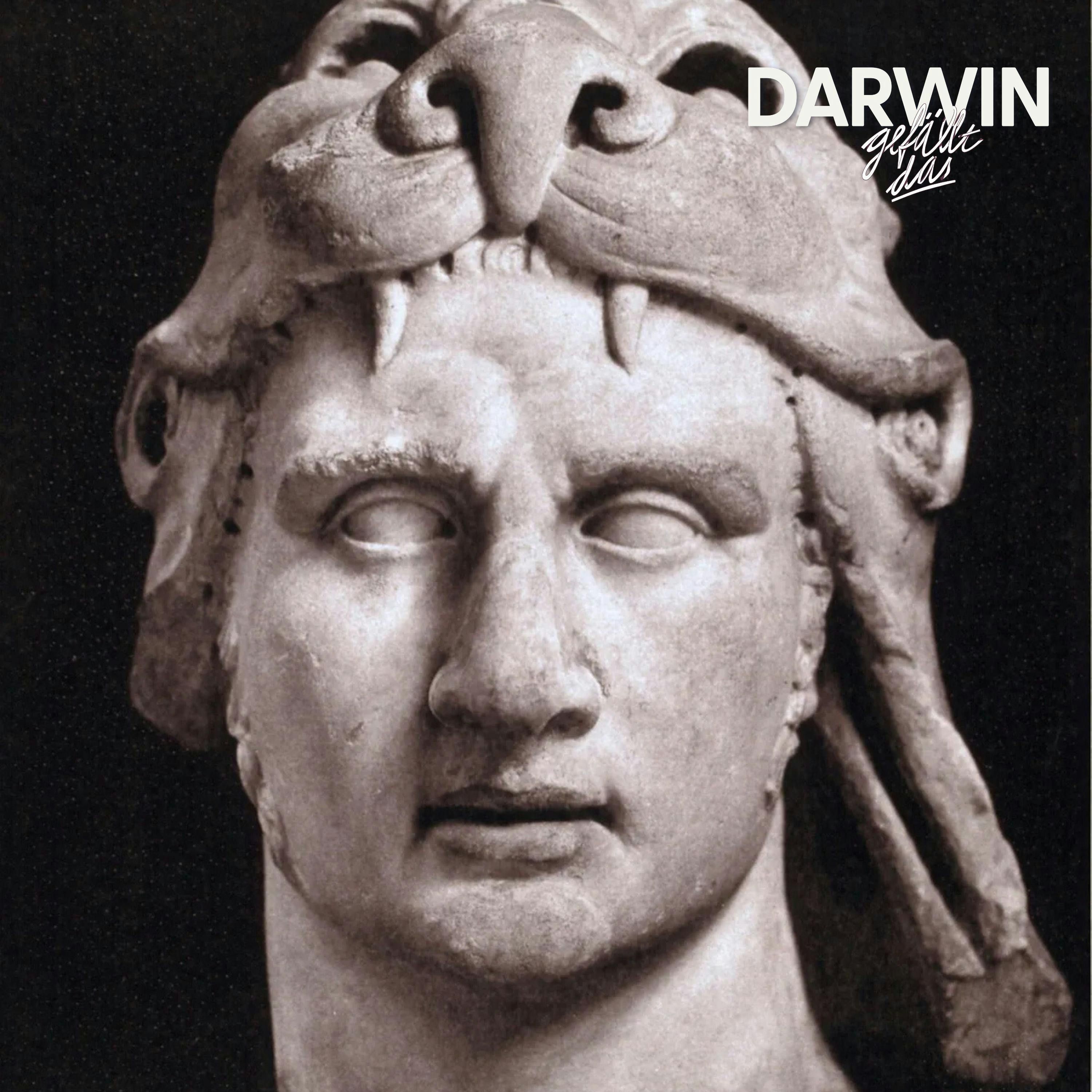 Giftiges Mealprepping