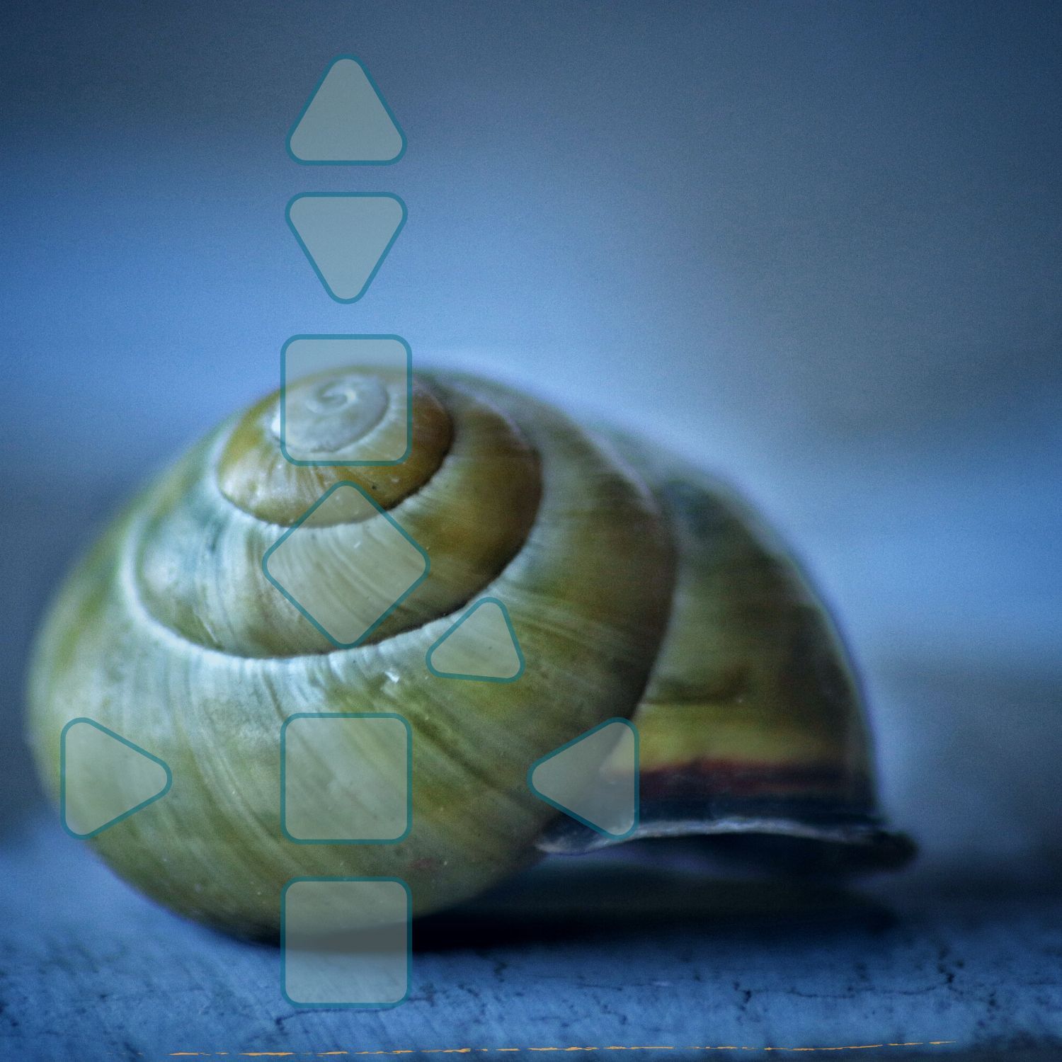 Glaubenssätze der offenen Zentren