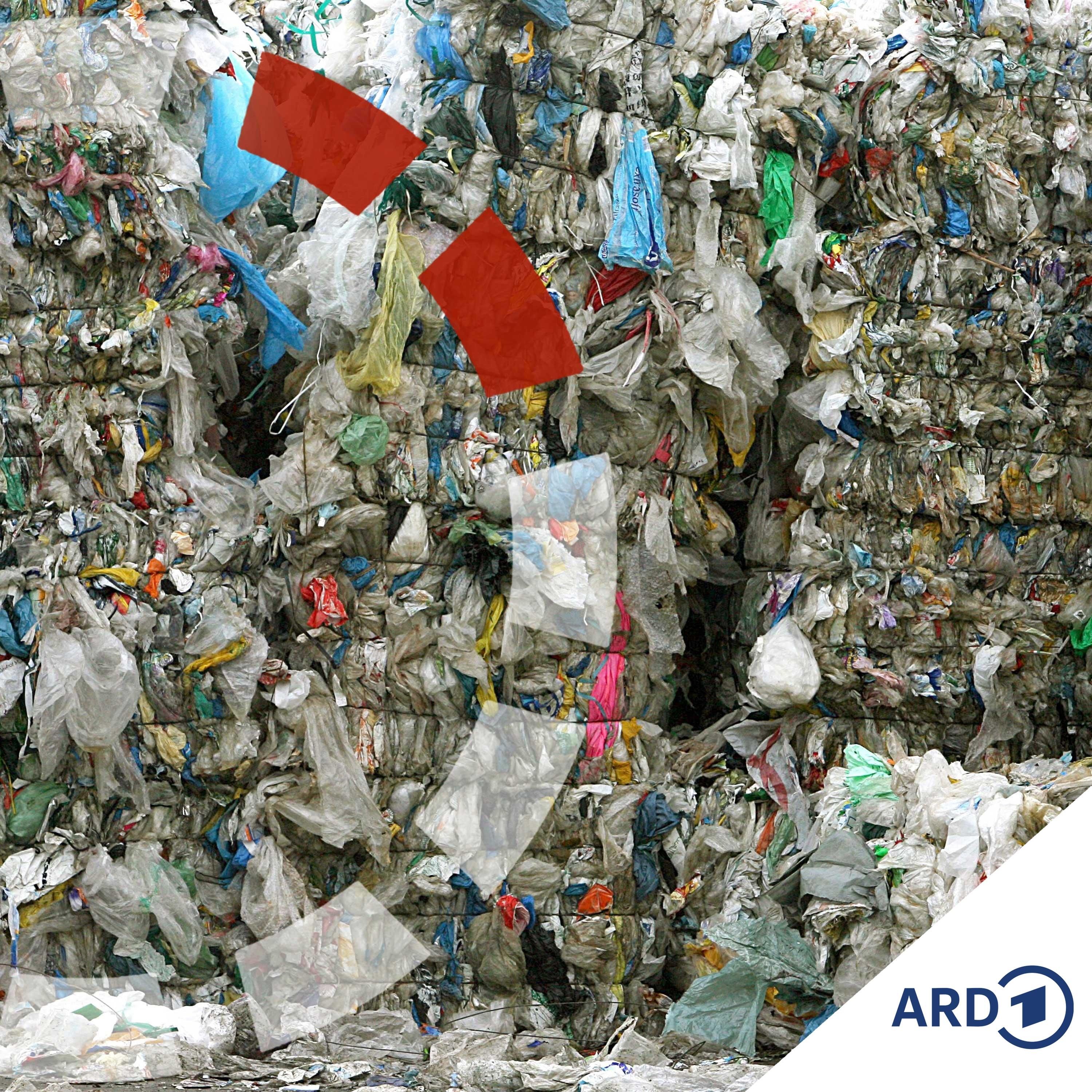 Globale Plastikseuche - Was tun gegen den Müll?