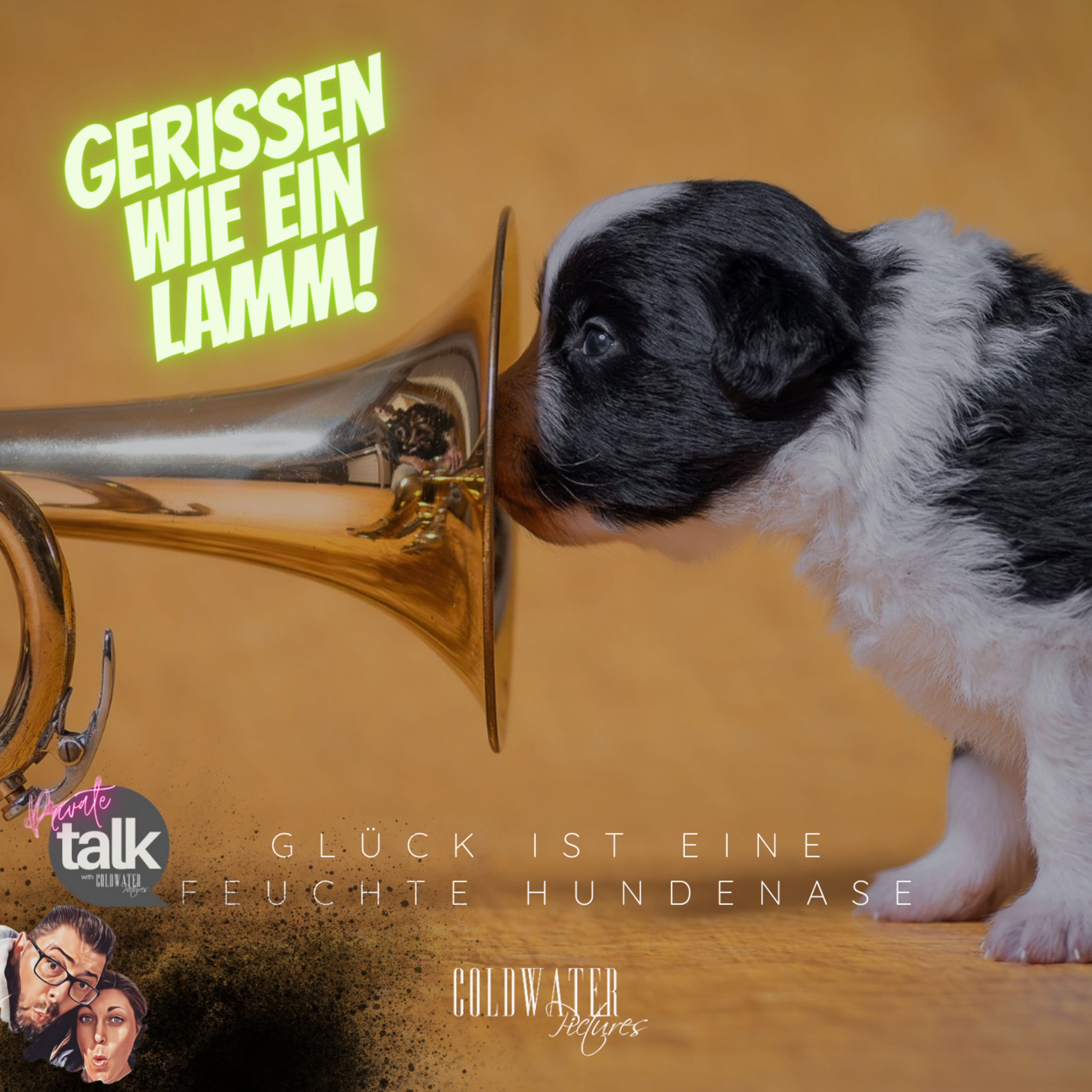 Glück ist eine feuchte Hundenase
