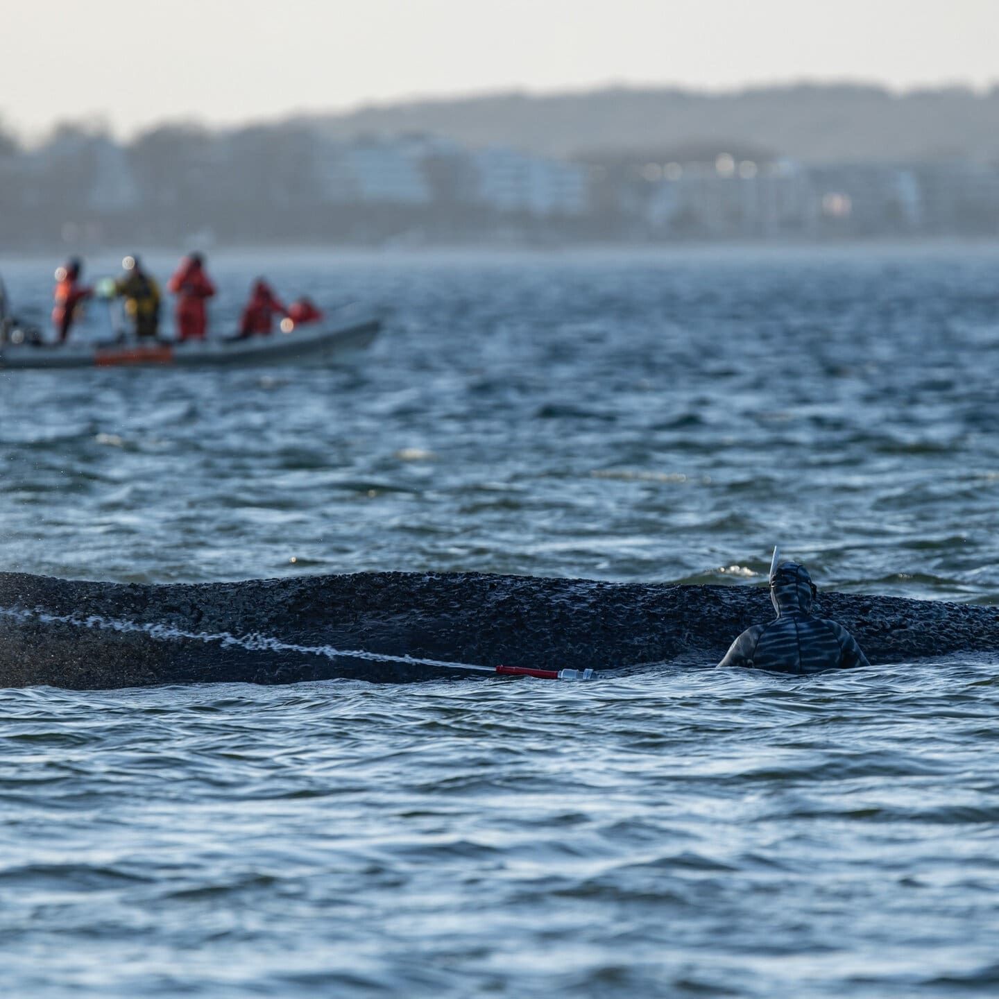 Glücklicher Ausgang