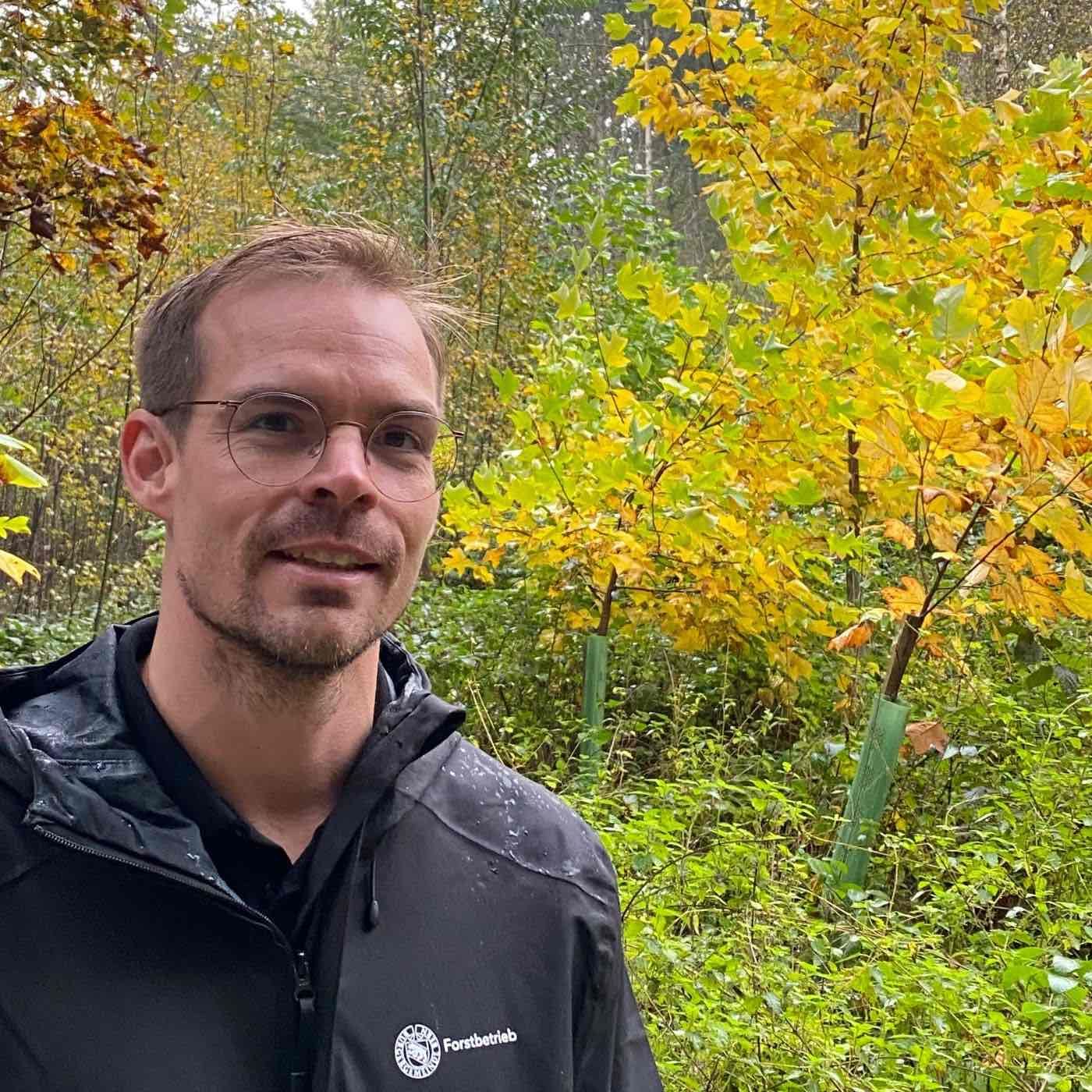 Glühwürmchen - oder wie man die Artenvielfalt im Wald fördert