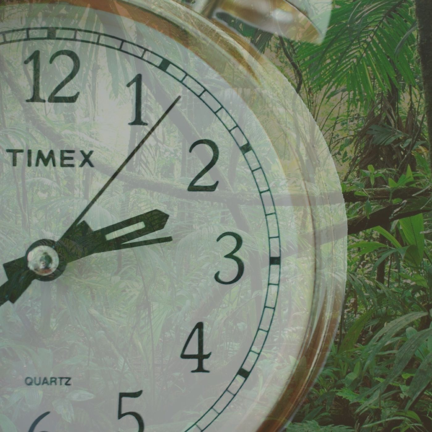 GMITM071 – Ich sehe alles und weiß alles warum weshalb