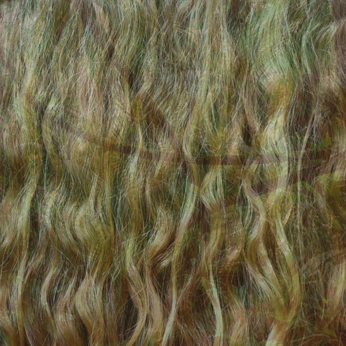 GMITM072 – Haare Haare Rama Rama