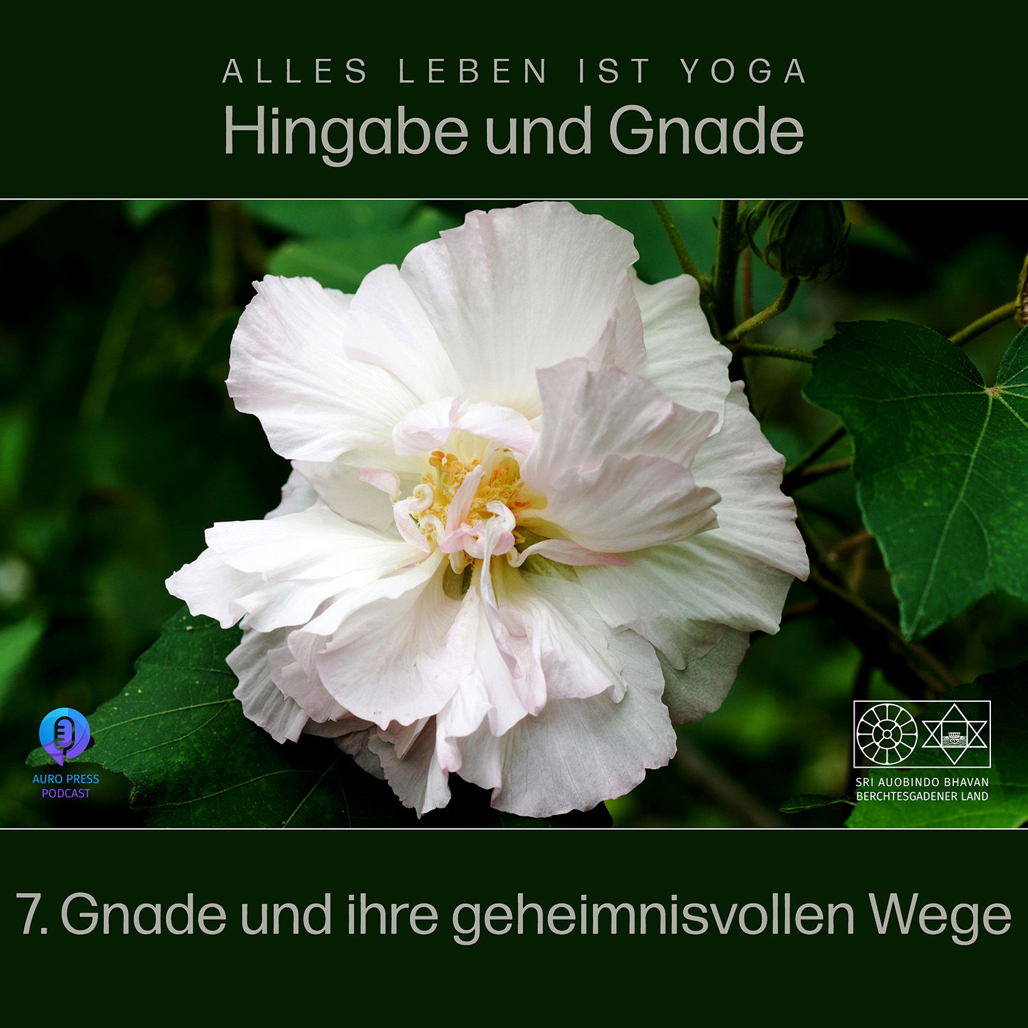 Gnade und ihre geheimnisvollen Wege