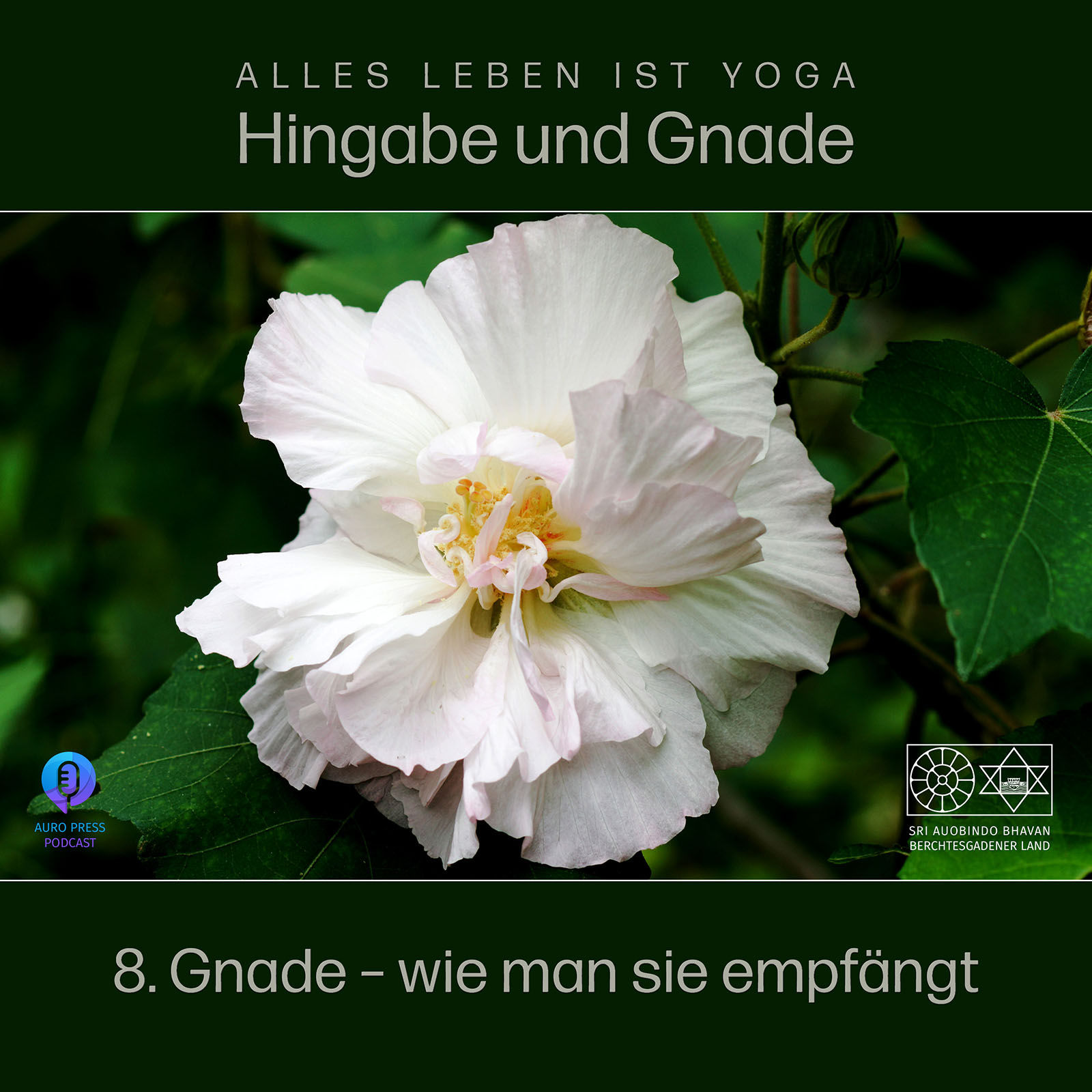 Gnade – und wie man sie empfängt