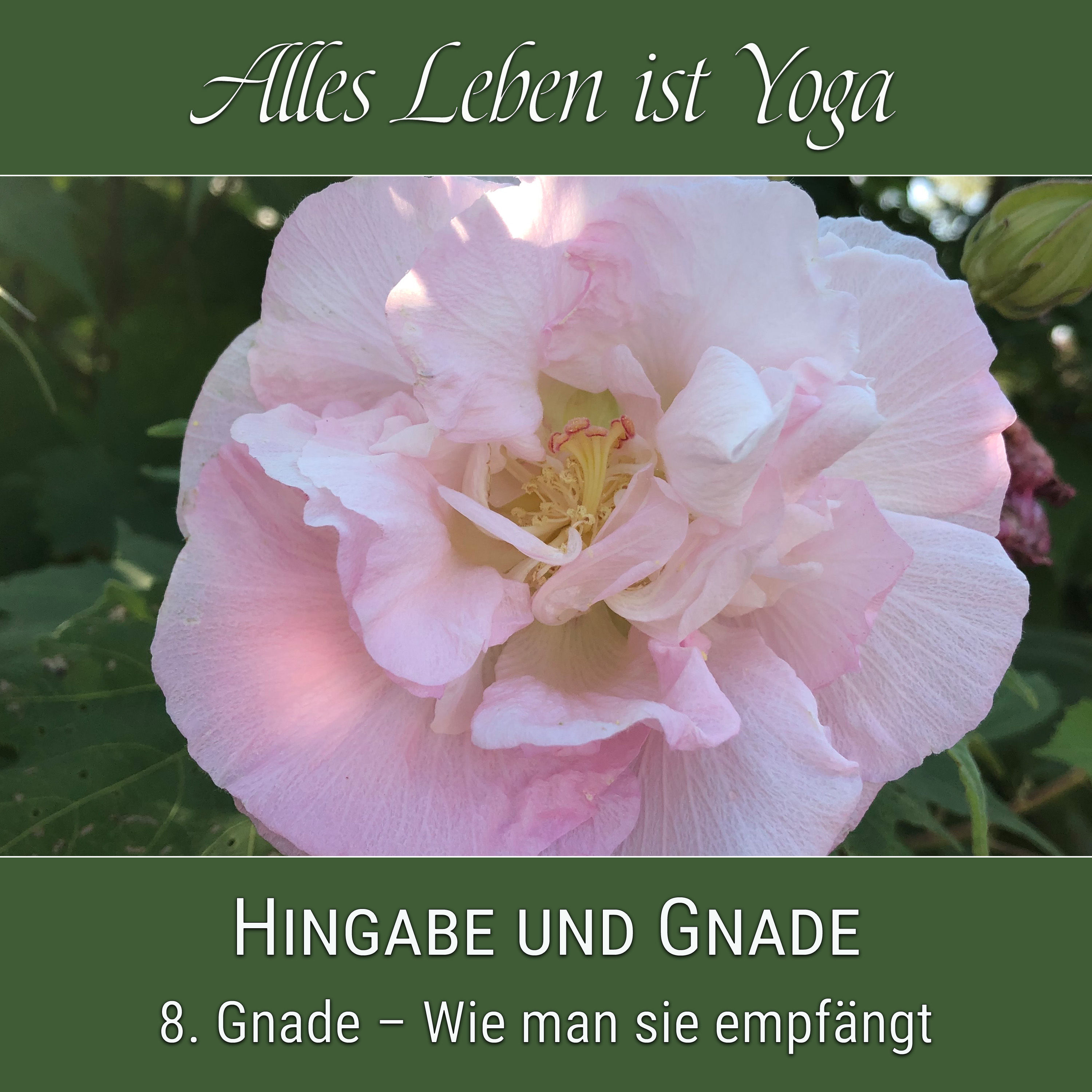 Gnade – Wie man sie empfängt