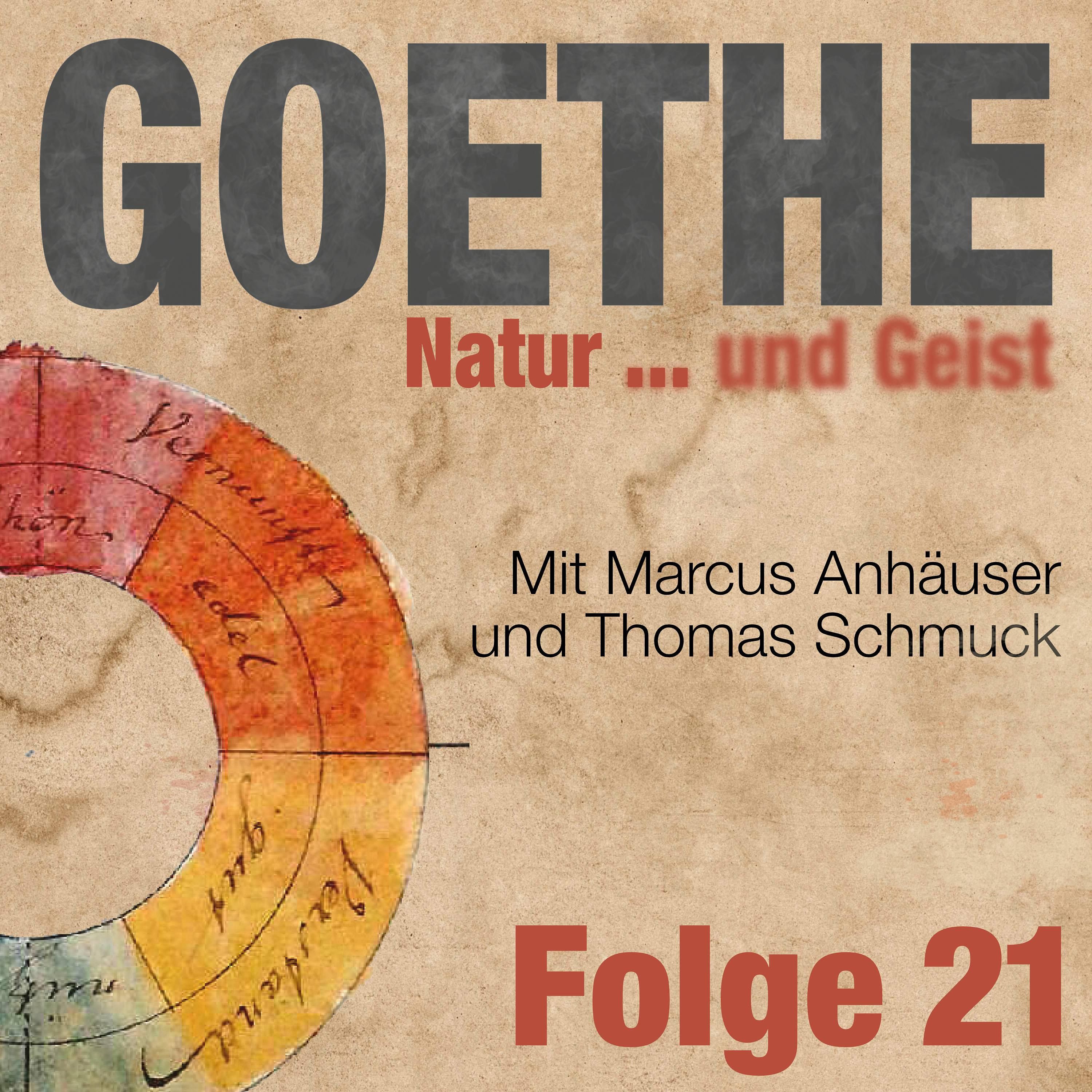 Goethe und der Mann, der das Ultraviolett entdeckte