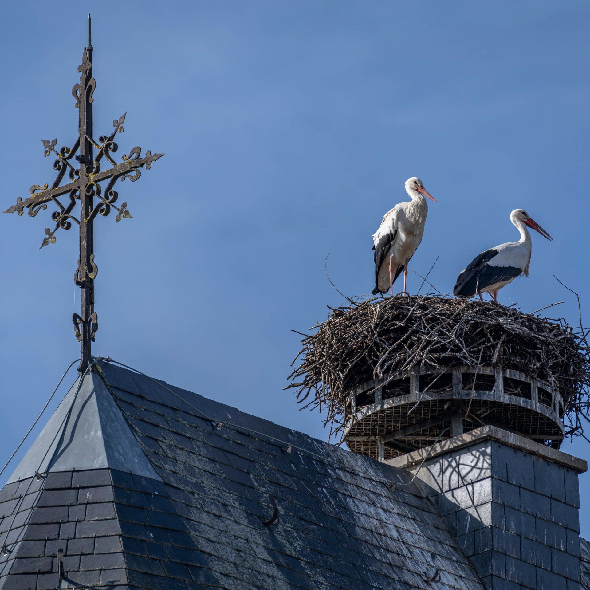 Good Klima-News: Kirche steigt aus fosslien Investitionen aus