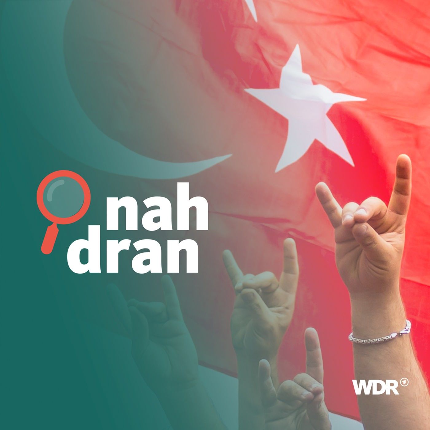 Graue Wölfe - Wie türkische Nationalisten unsere Demokratie gefährden I nah dran
