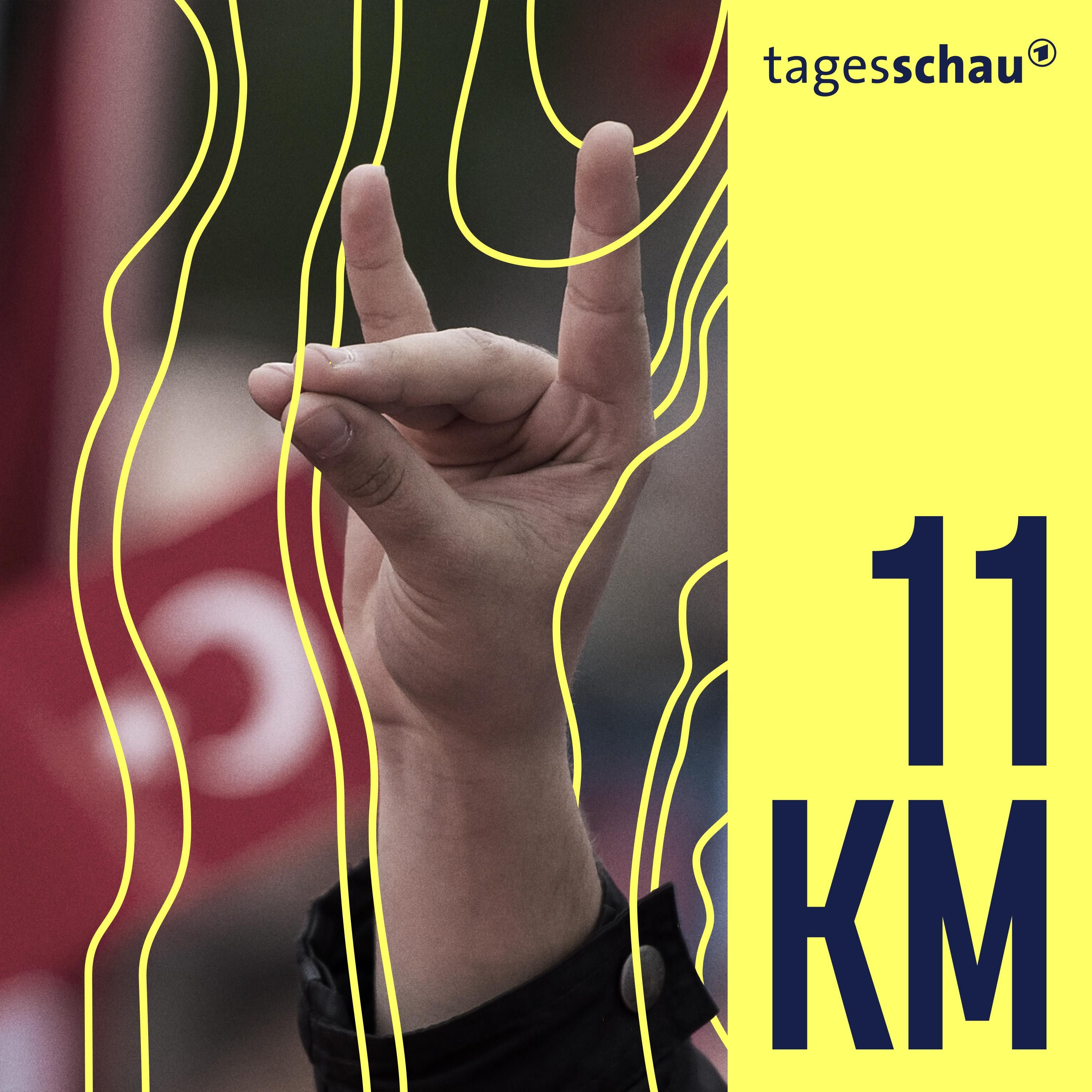 Graue Wölfe: Wie türkische Rechtsextreme in Deutschland agieren