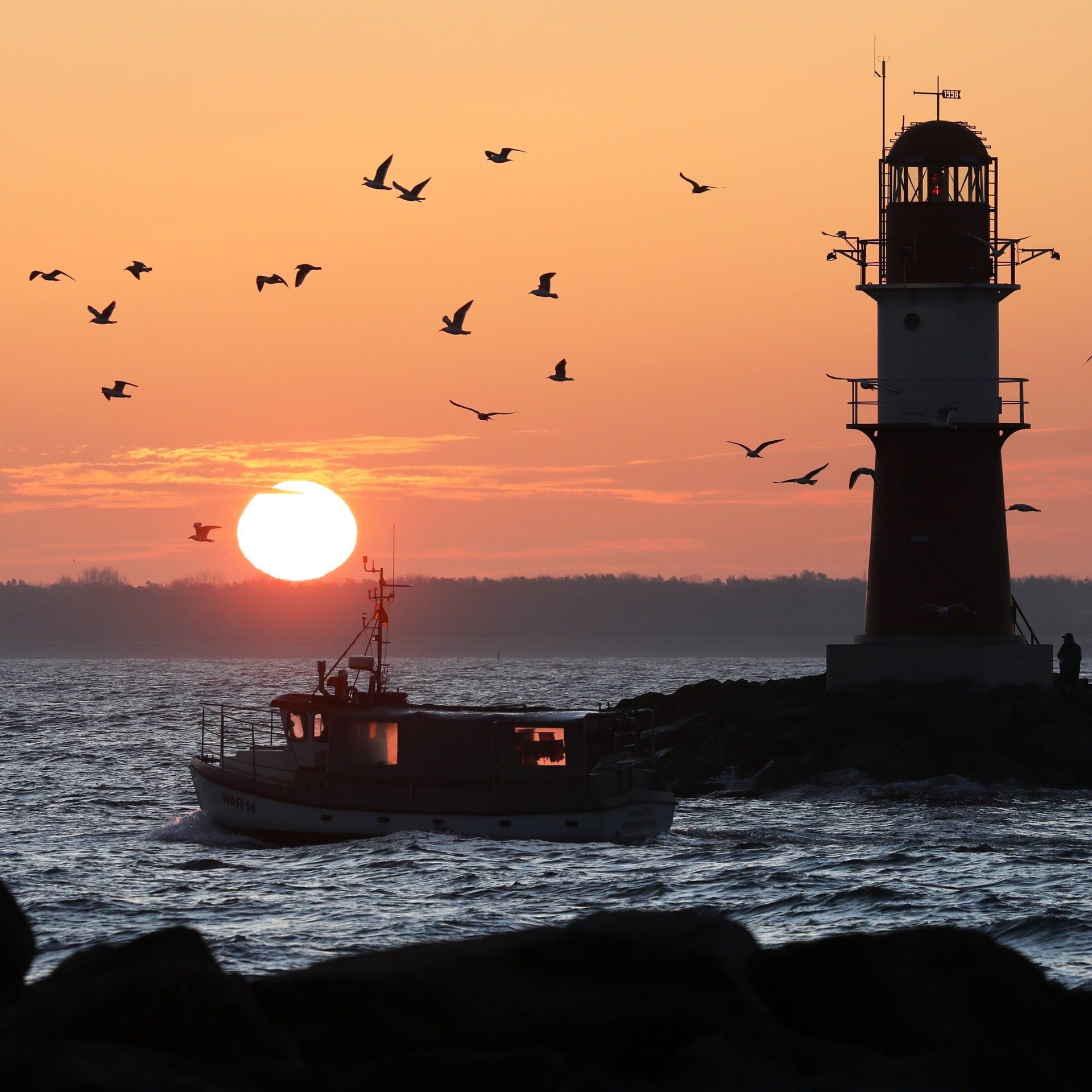 Greenpeace: Fische aus Nord- und Ostsee mit PFAS belastet