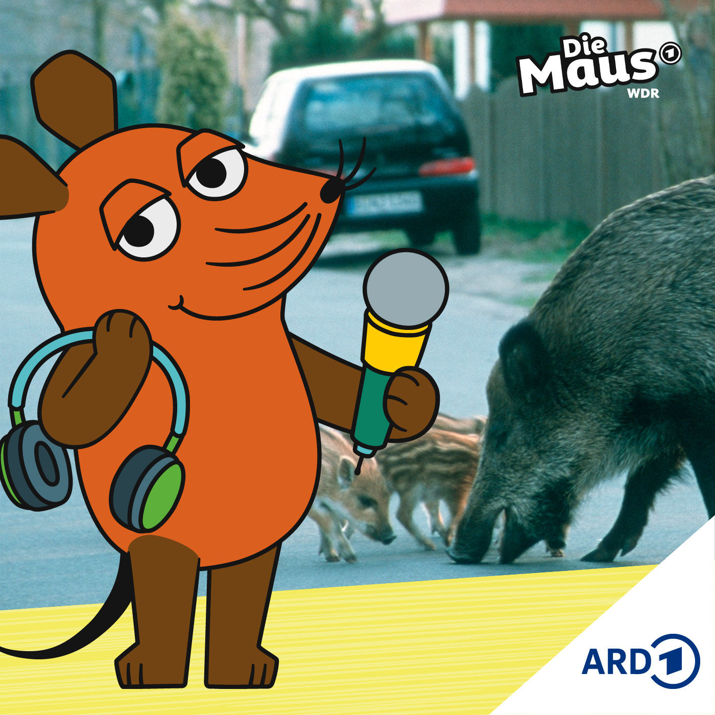 Große Aufregung: Wildschweine rennen durch ein Wohngebiet