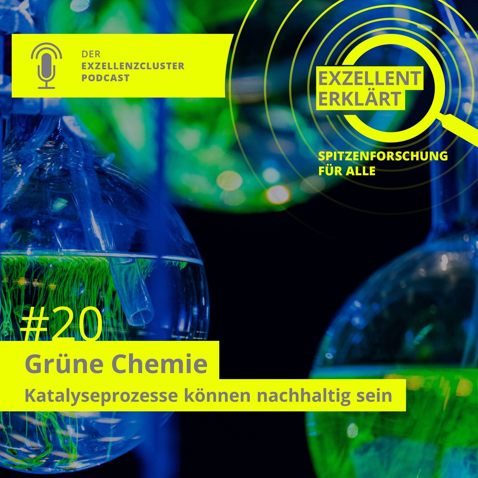 Grüne Chemie – Katalyseprozesse können nachhaltig sein