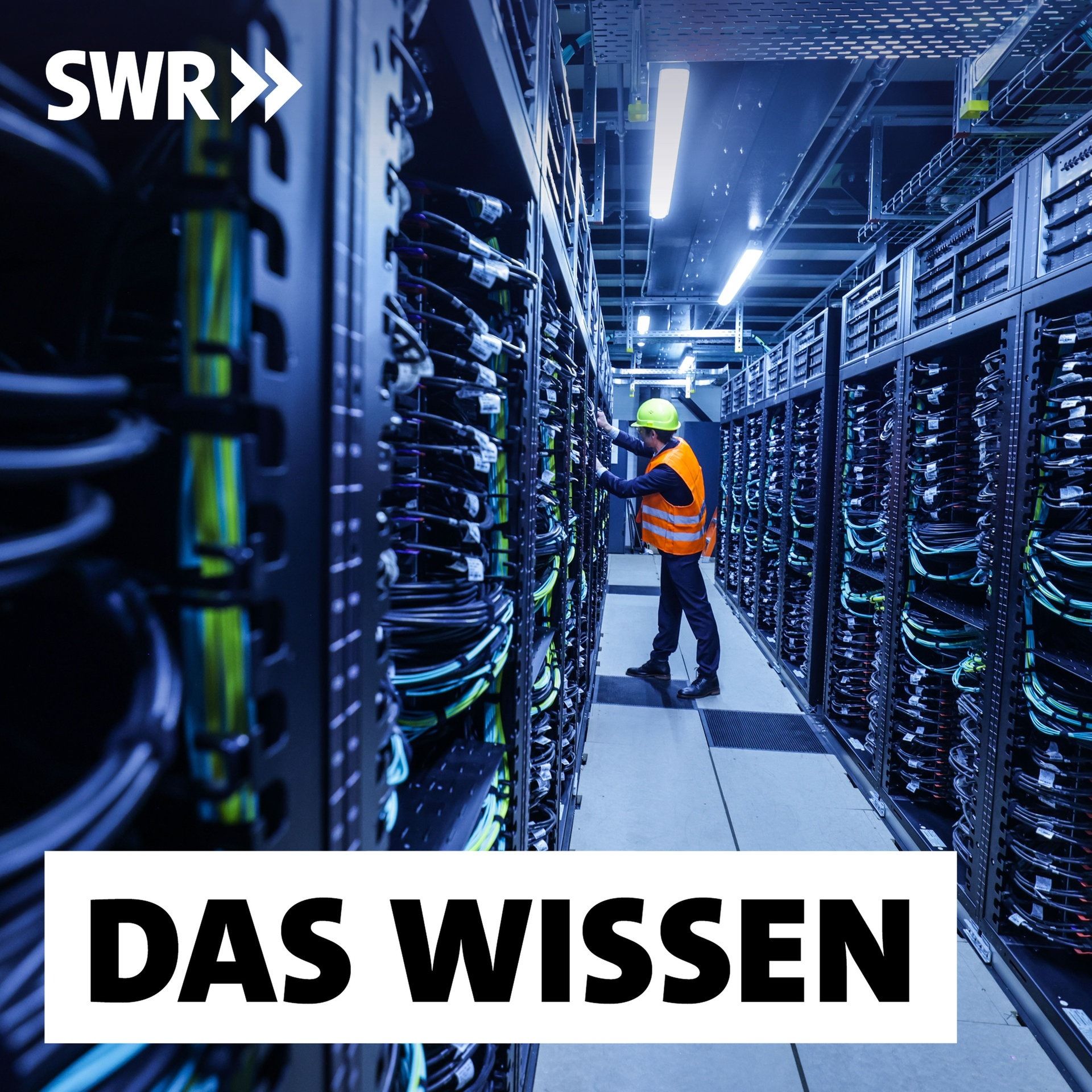 Grüne Intelligenz – Wie KI nachhaltig werden kann