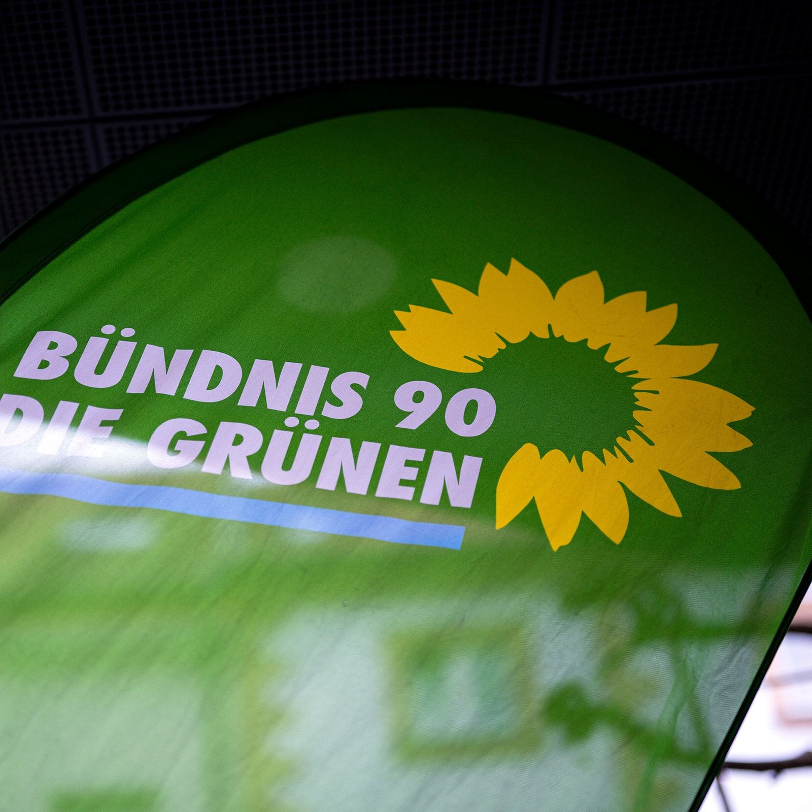 Thüringens Grüne ein Jahr nach dem Absturz