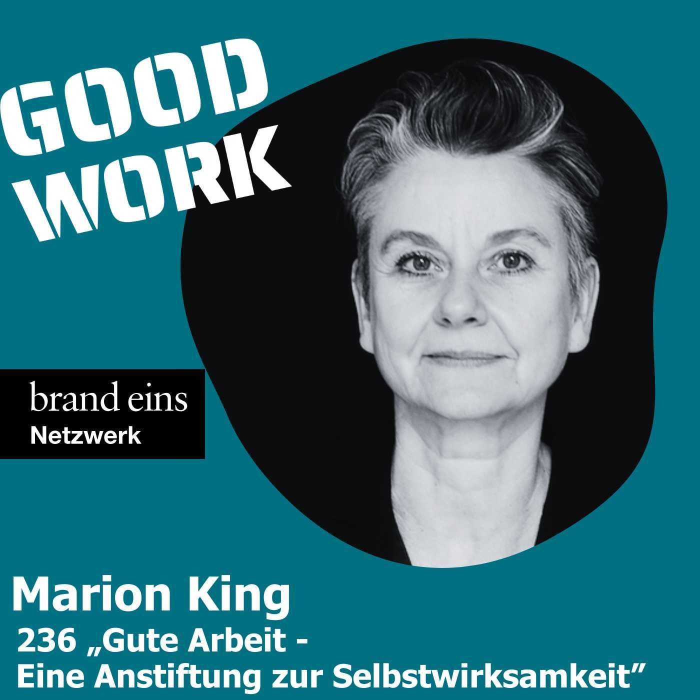 Gute Arbeit. Eine Anstiftung zur Selbstwirksamkeit. Marion King (236)