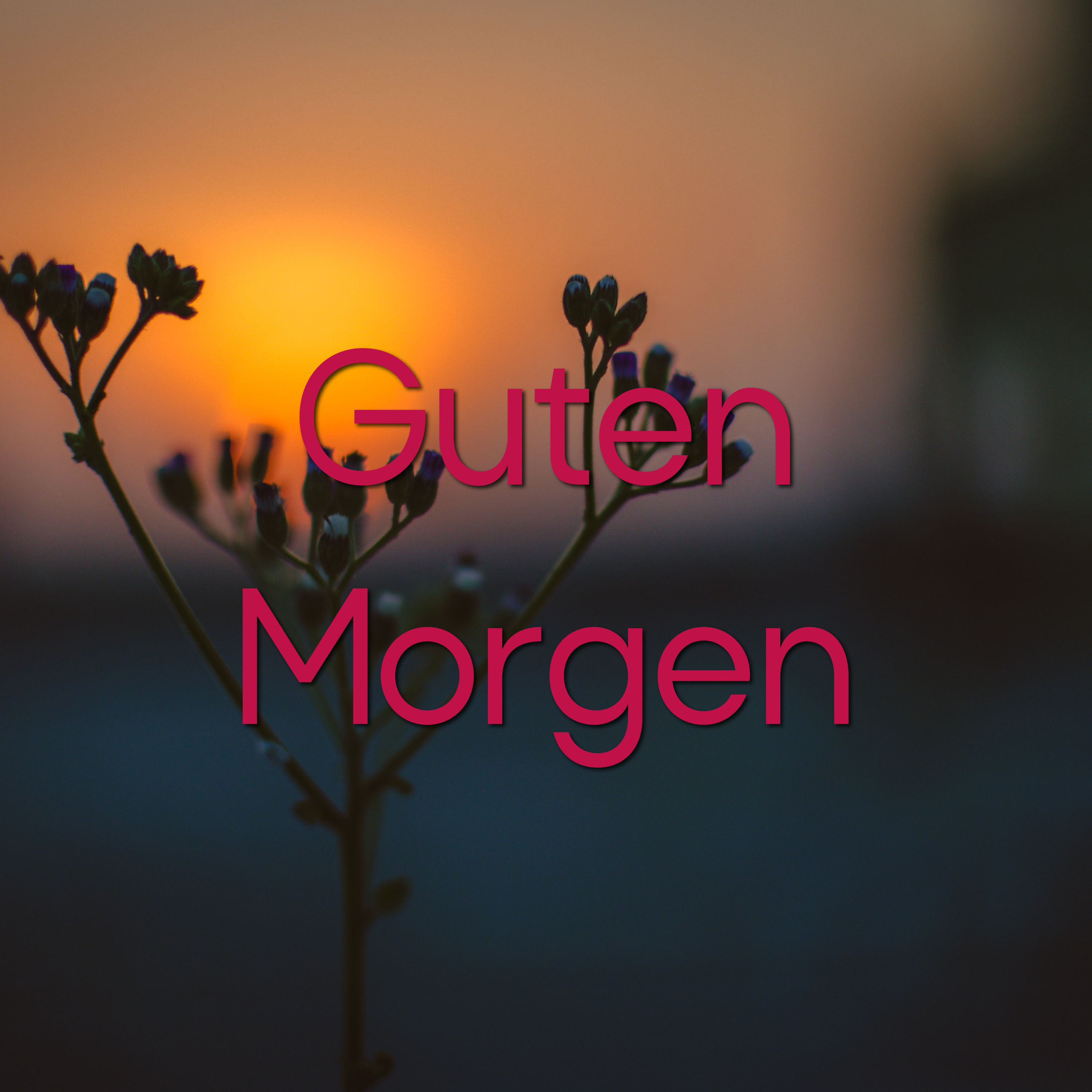 Guten Morgen Affirmationen