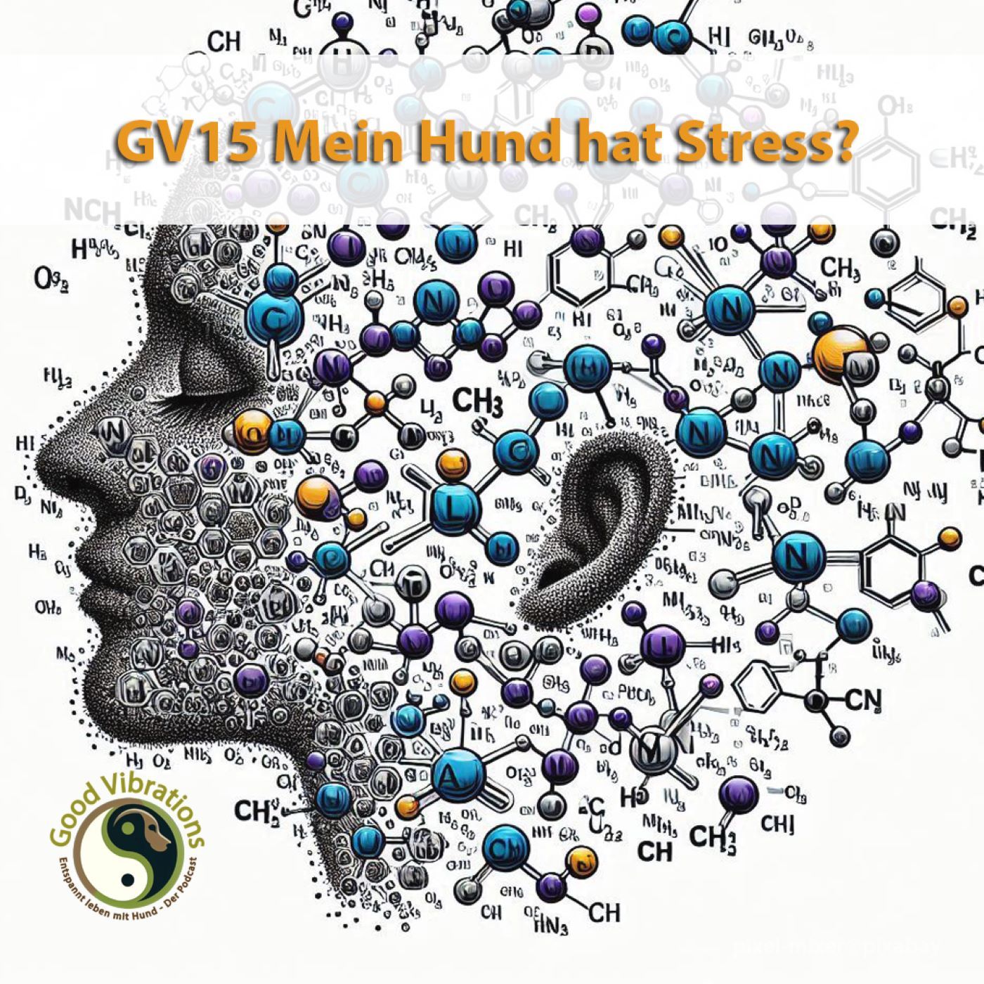 GV 15_Stress