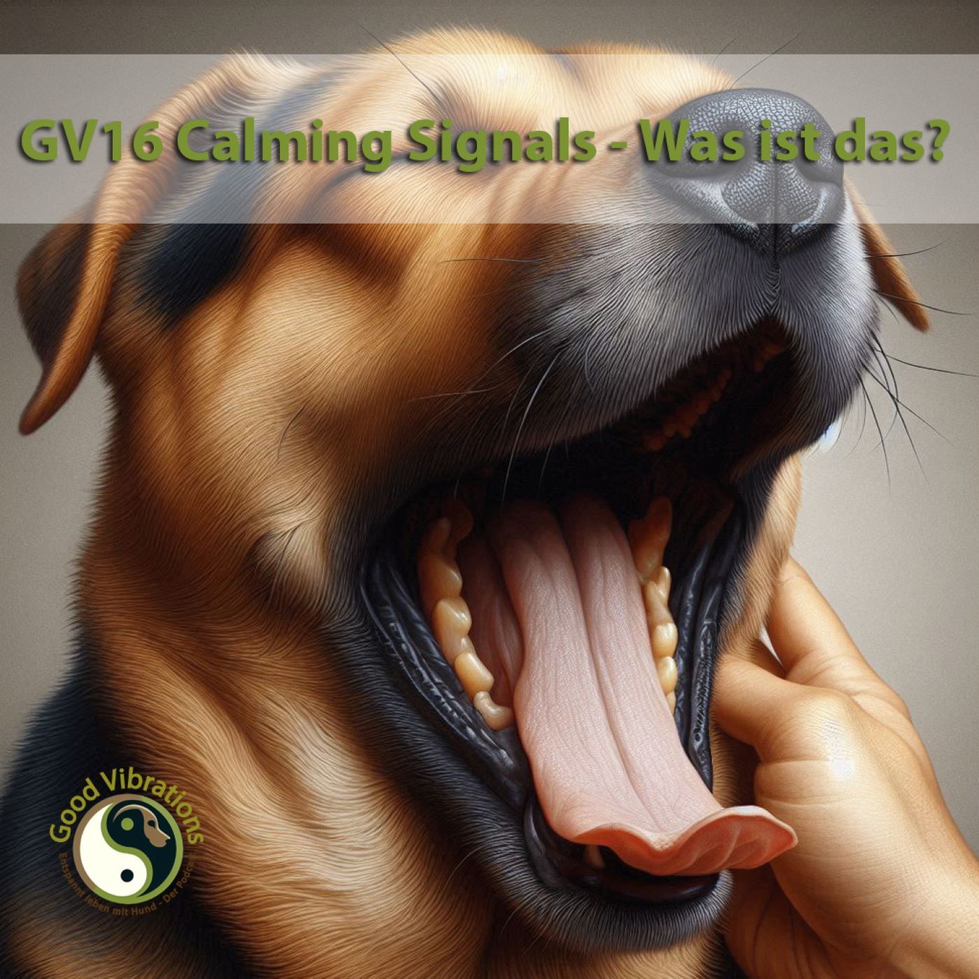GV 16_Fremdsprachen lernen