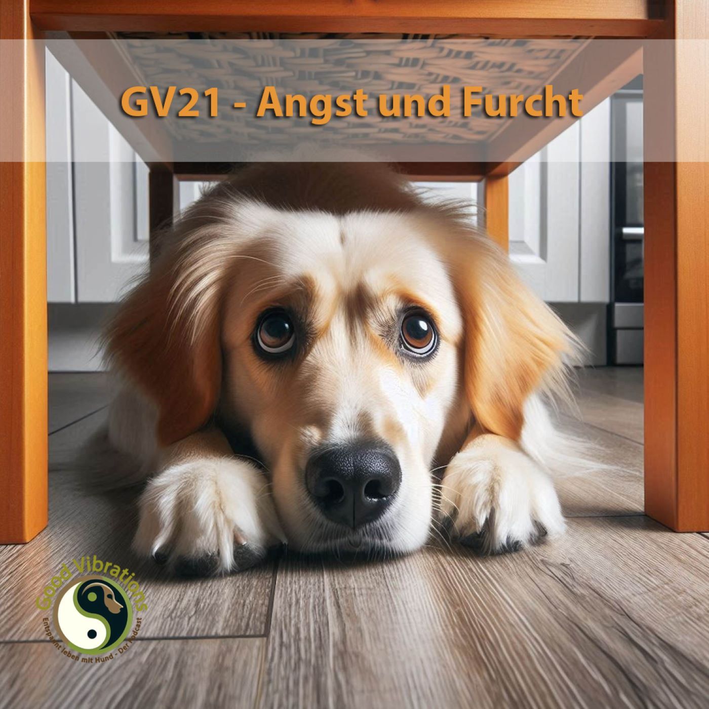 GV 21_Angst und Furcht