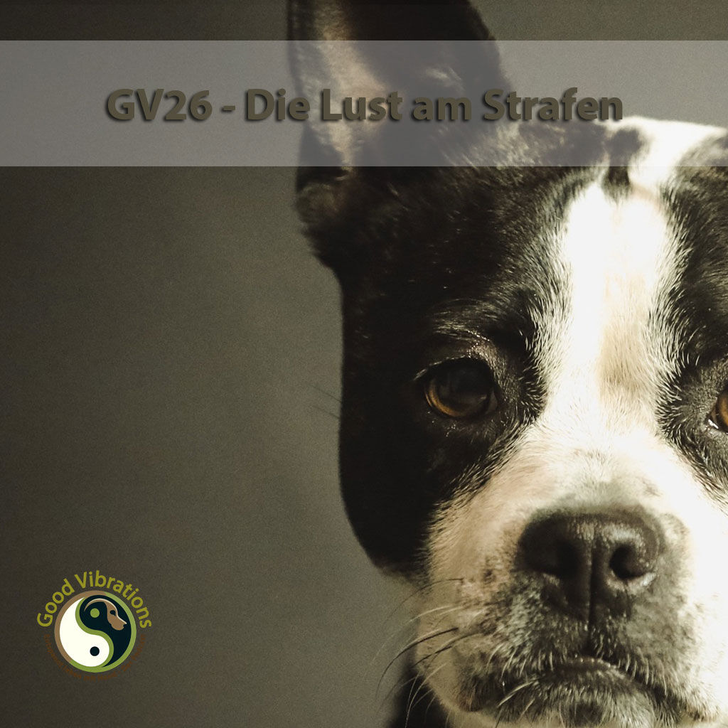 GV 26_Die Lust am Strafen