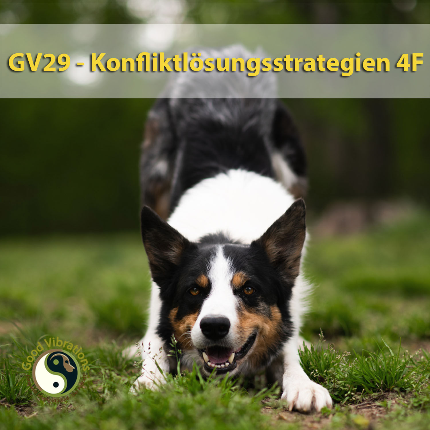 GV 29_Die 4 F der Konfliktlösung