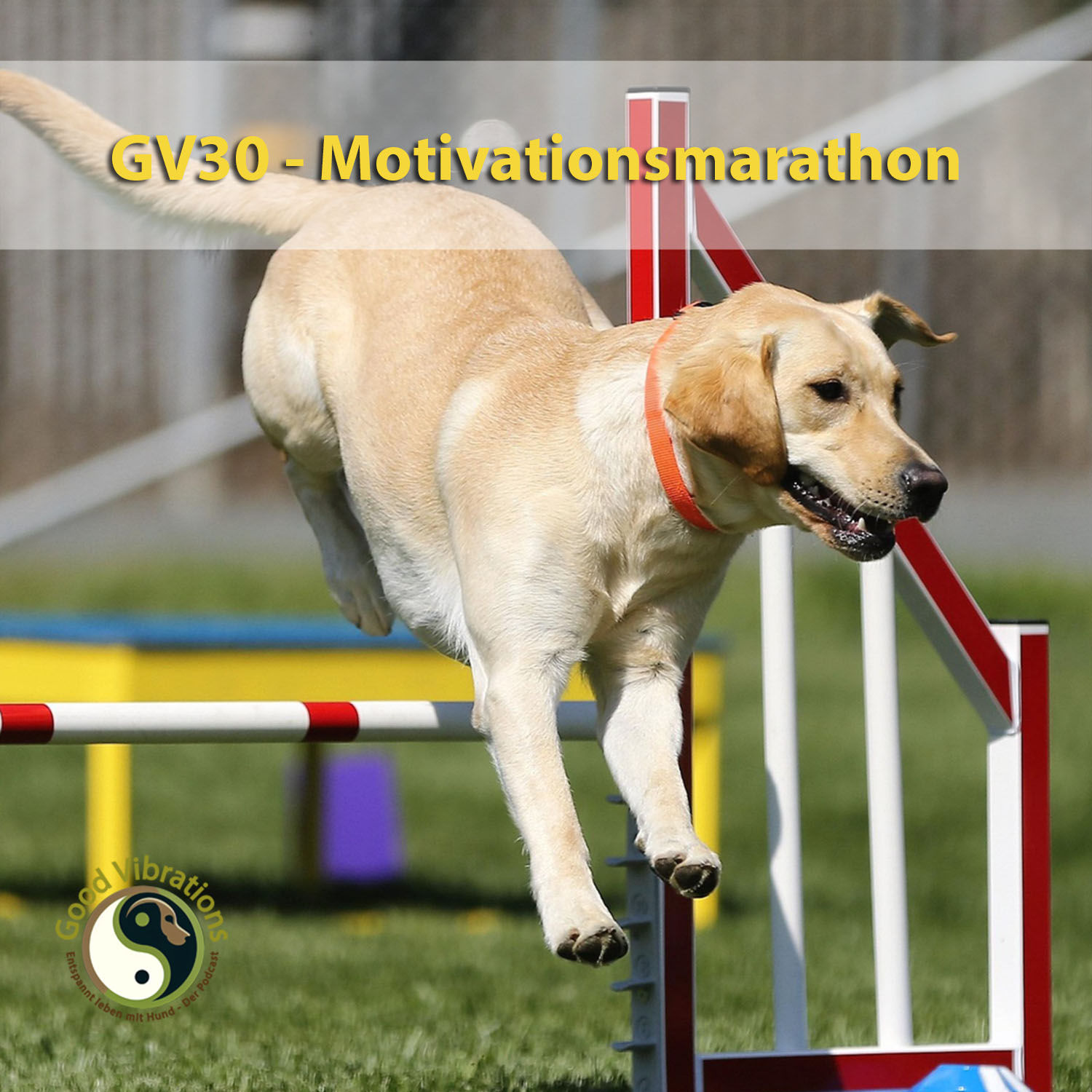 GV 30_Motivationsmarathon