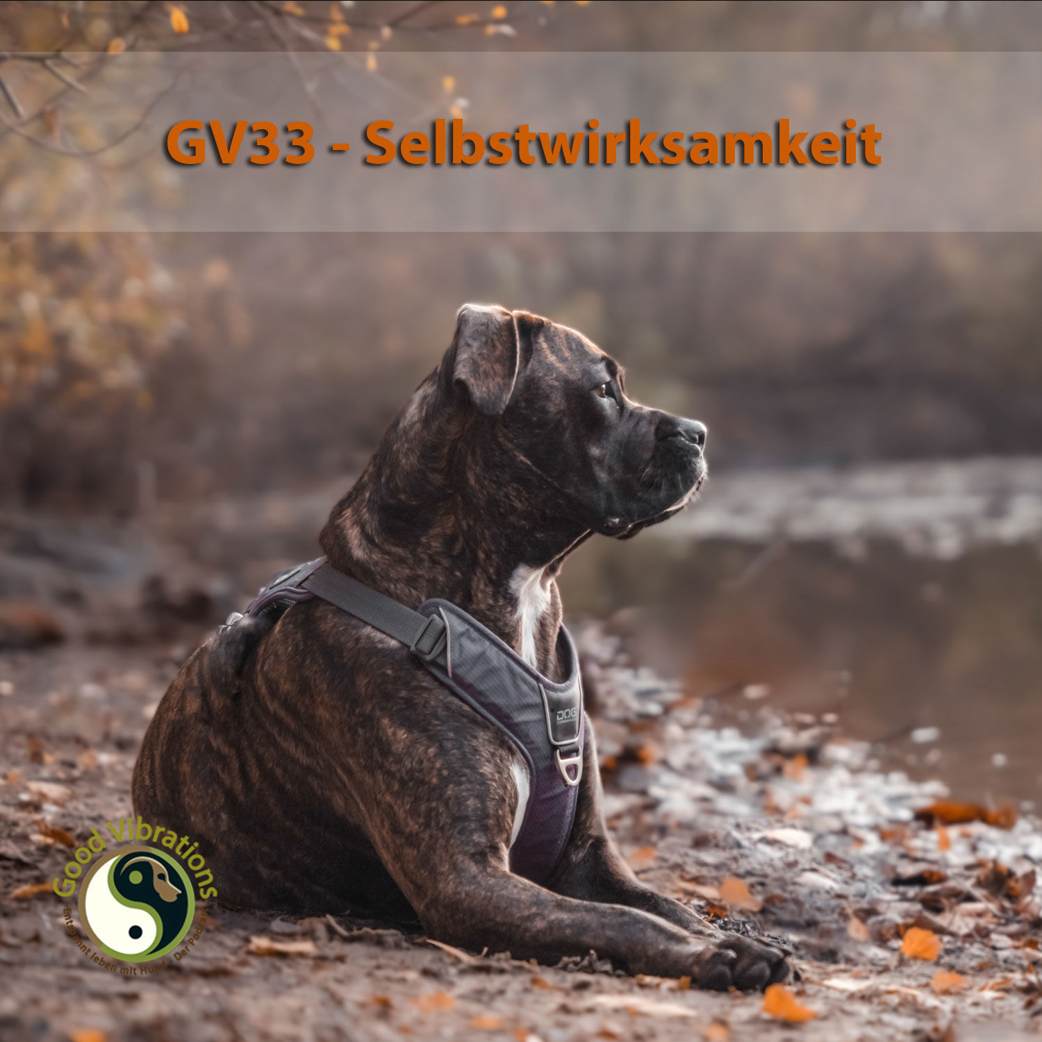 GV 33_Selbstwirksamkeit