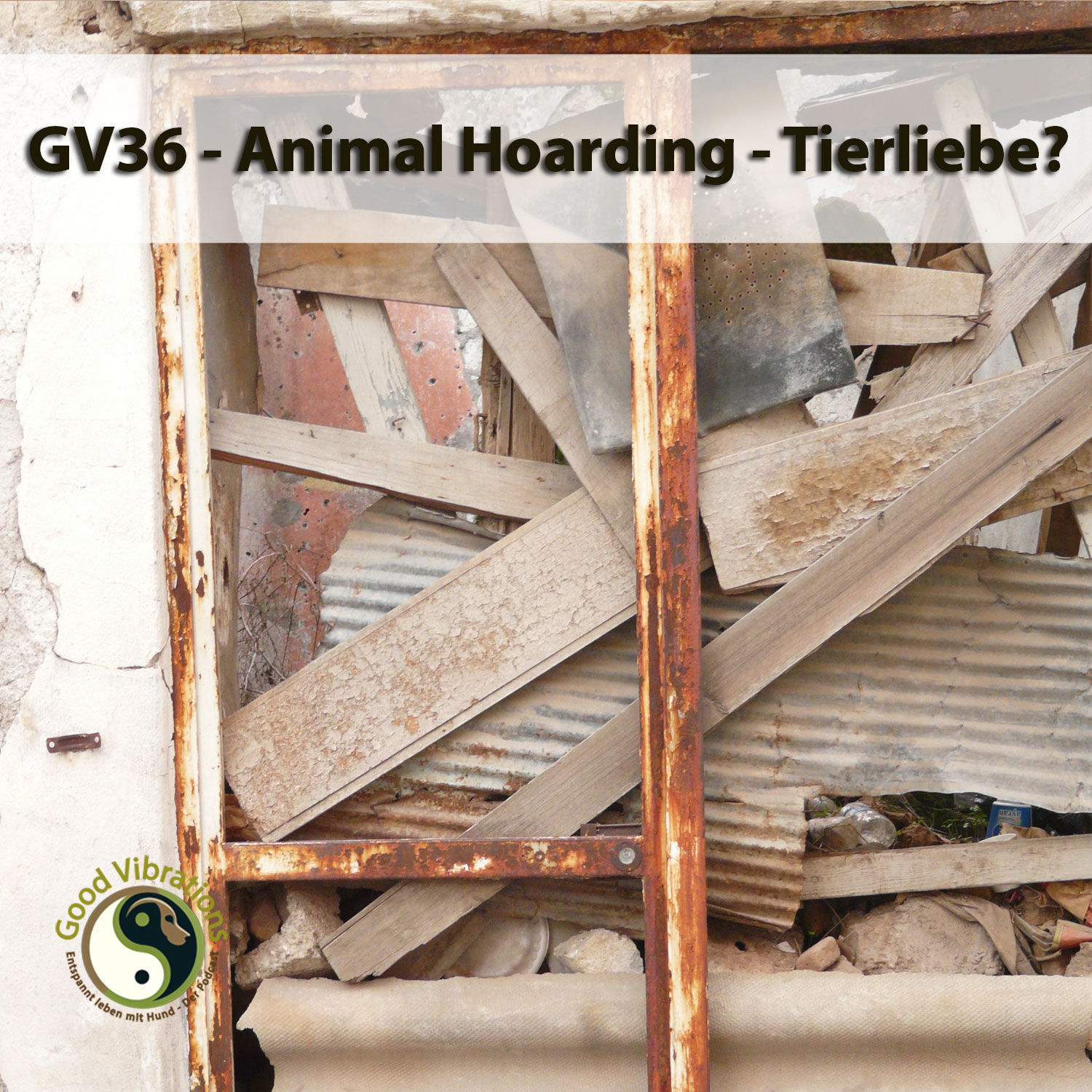 GV 36_Animal Hoarding: Wenn Tierliebe krankhaft wird