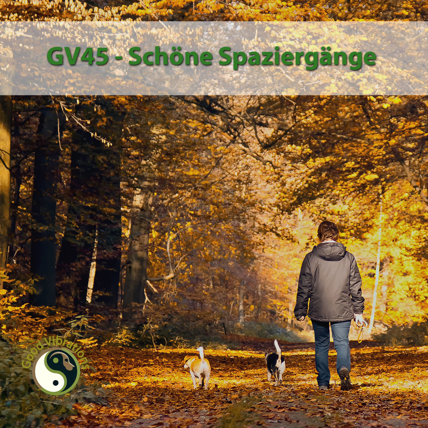GV 45_Schöne_Spazierengänge