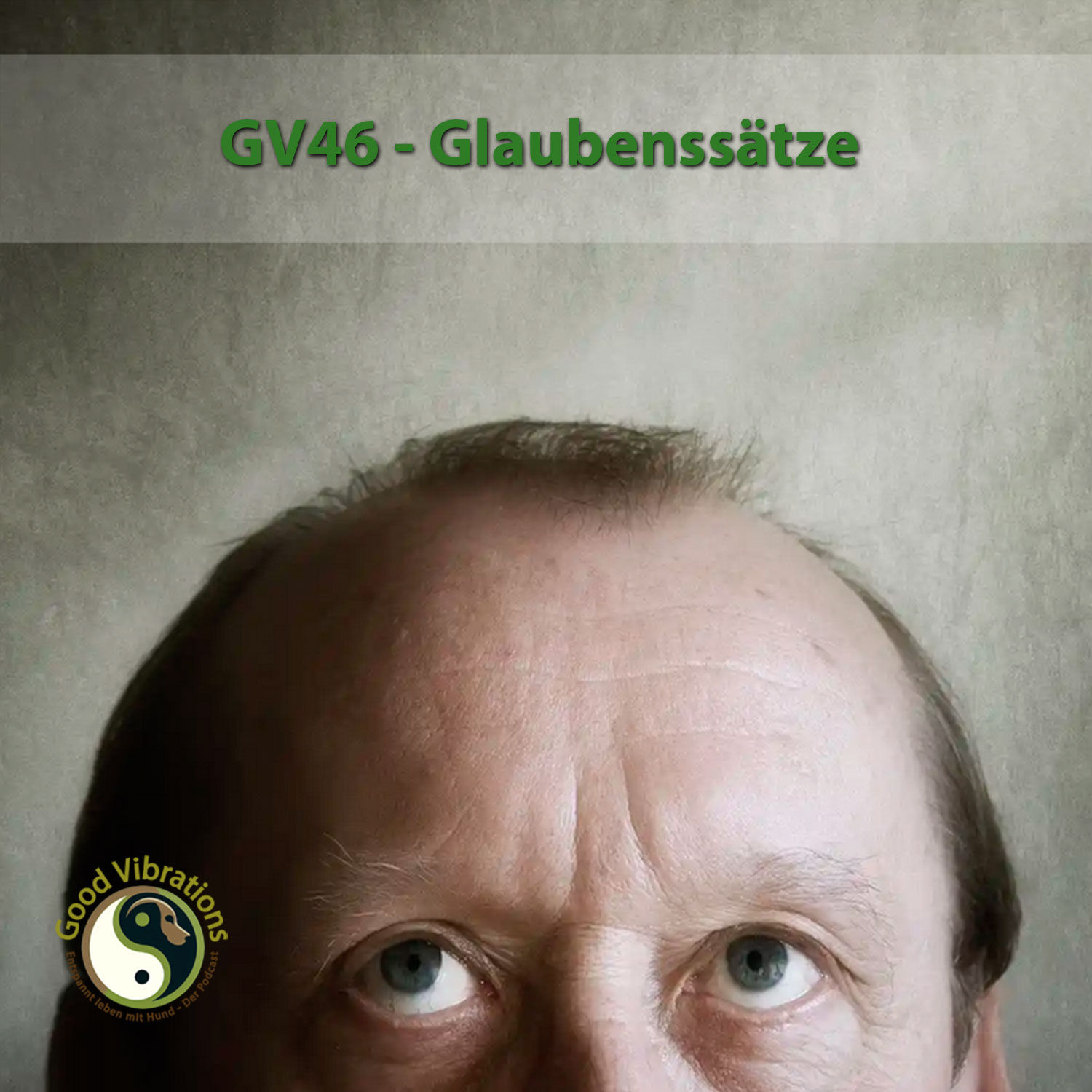 GV 46_Glaubenssätze