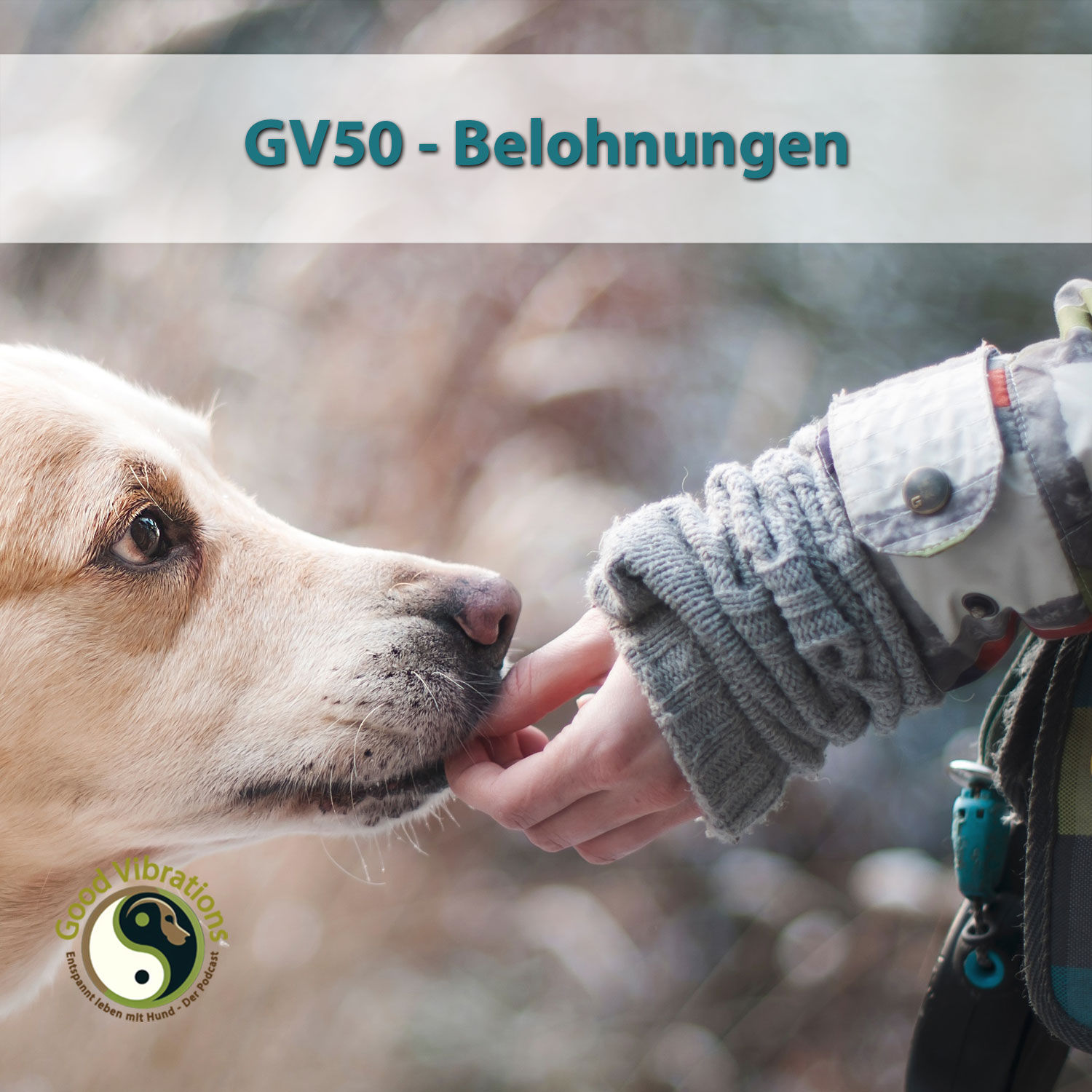 GV 50_Belohnungen