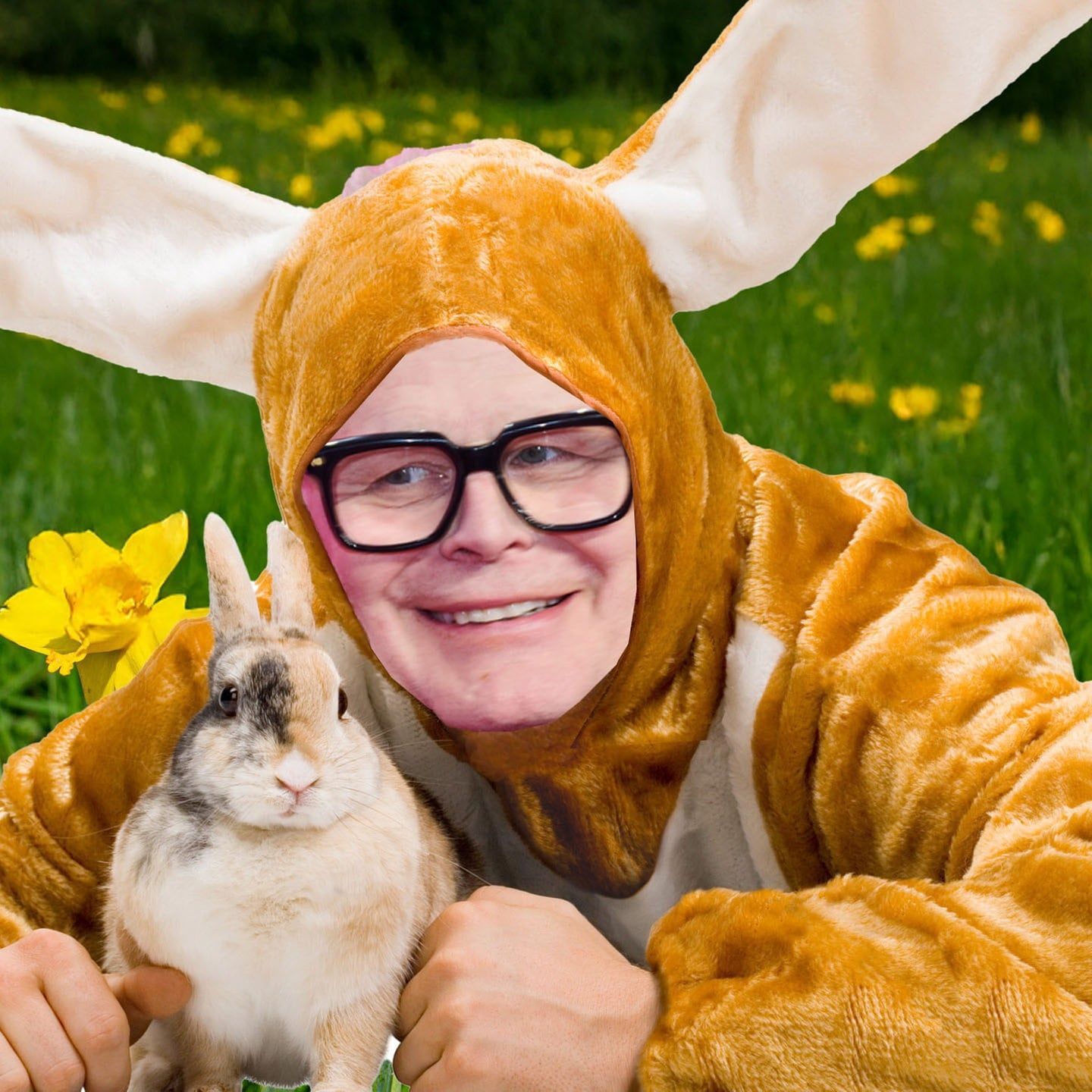 Häschen Herbie hüpf!