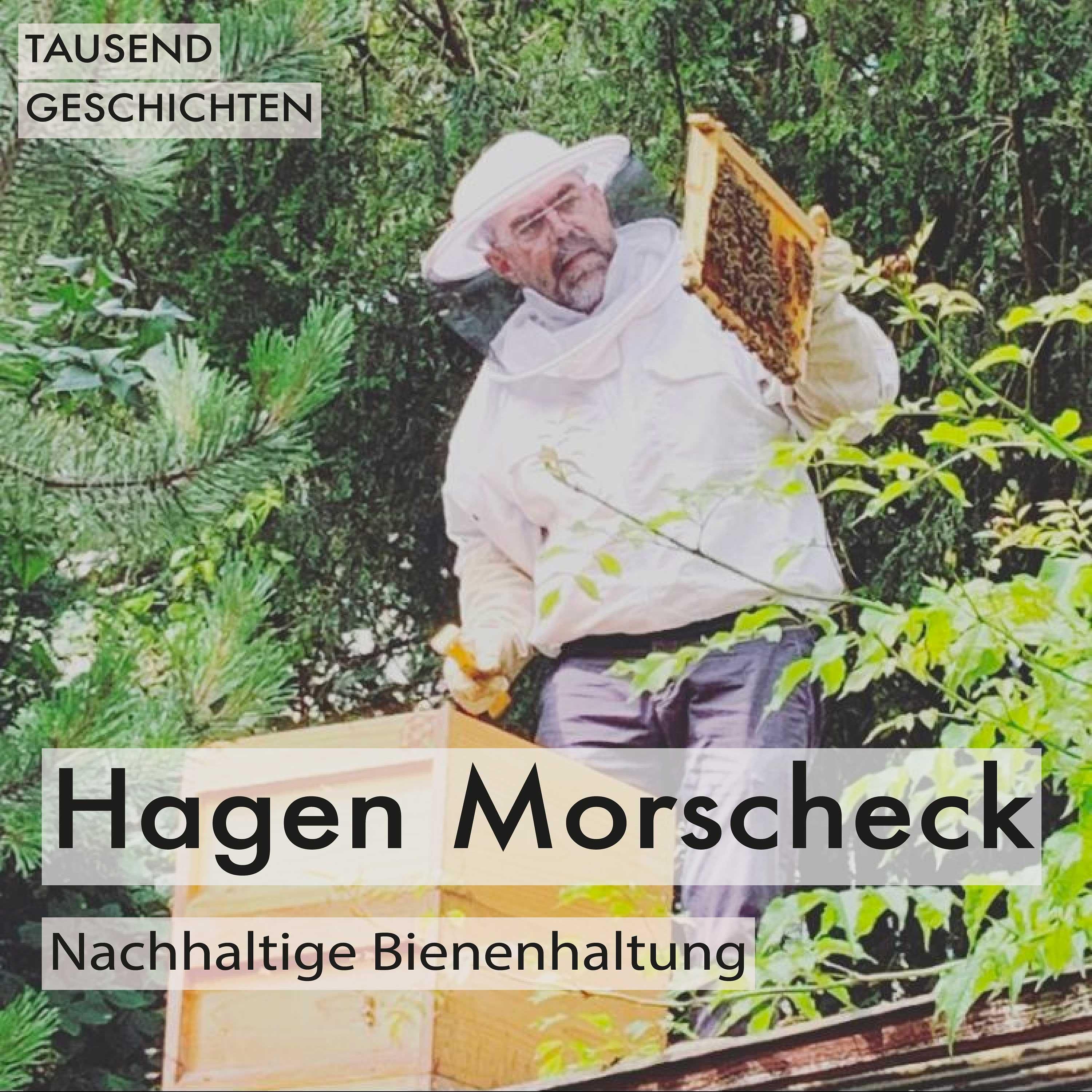 Hagen Morscheck über nachhaltige Bienenhaltung