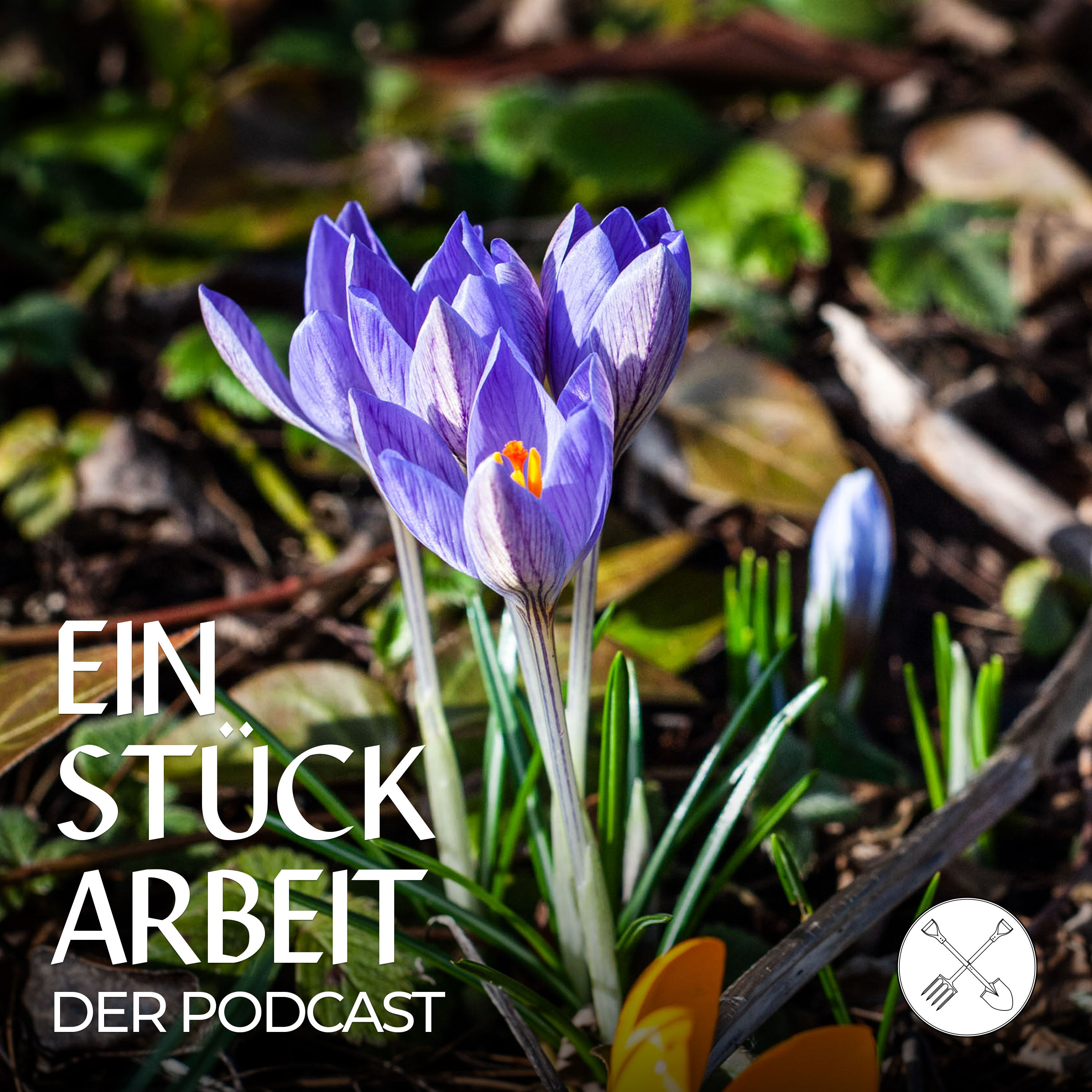 Hallo Frühling! Endlich beginnt die Gartensaison!