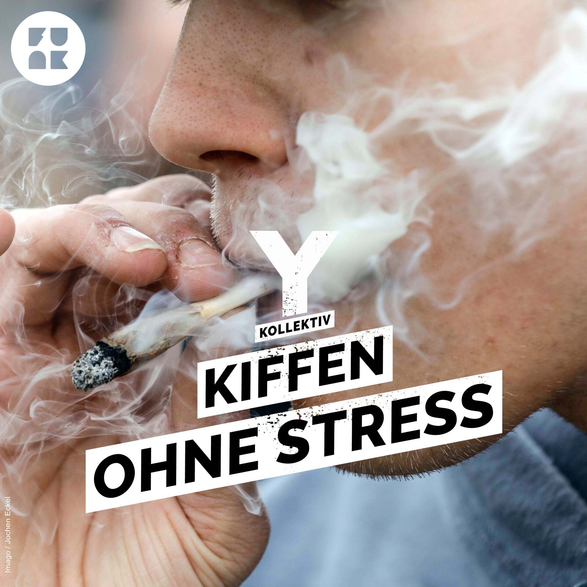 Hanfplantage im Schweinestall – kann Cannabis bald überall angebaut werden?