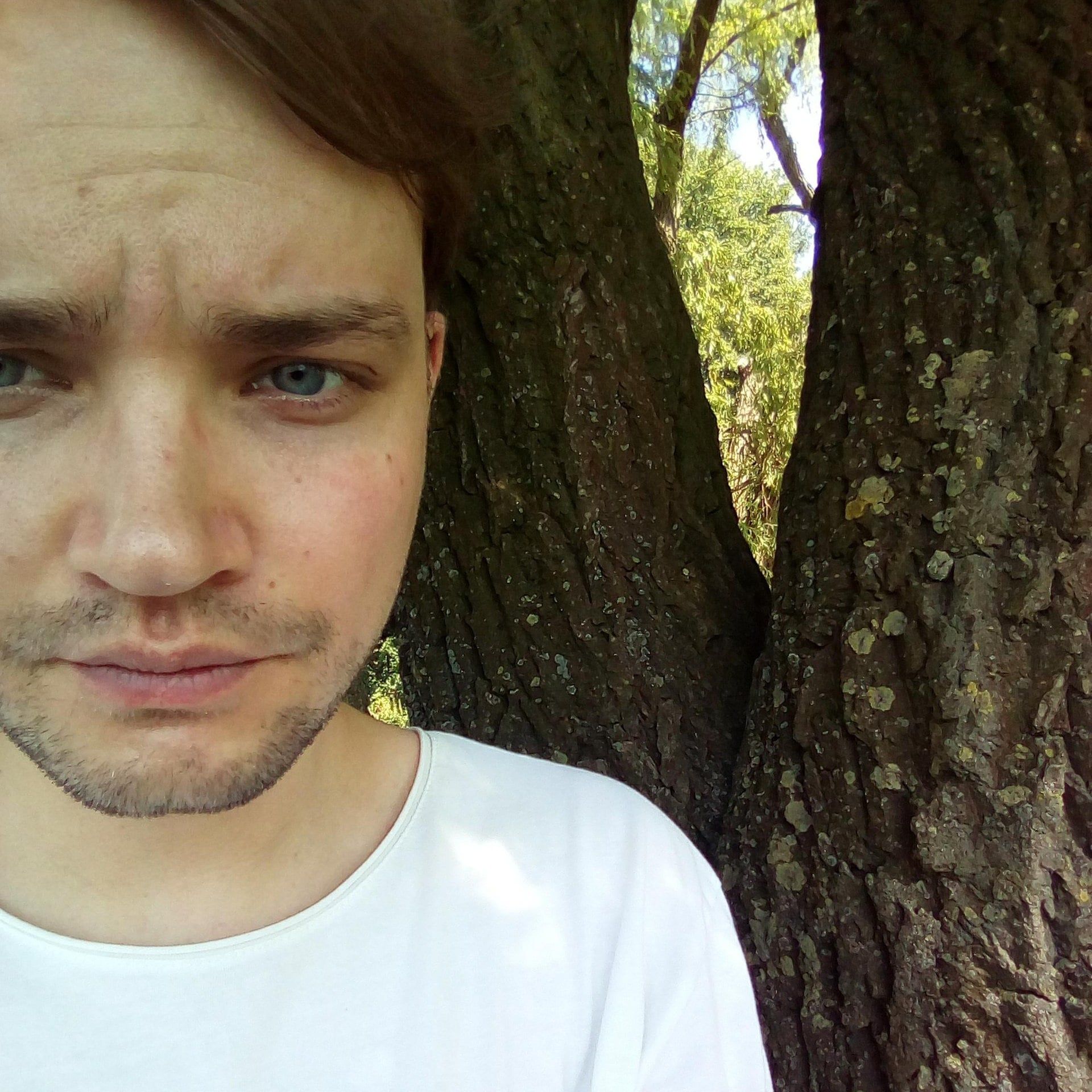 Hans Castorp, Herr Mann & ich - Eine Seelenzergliederung