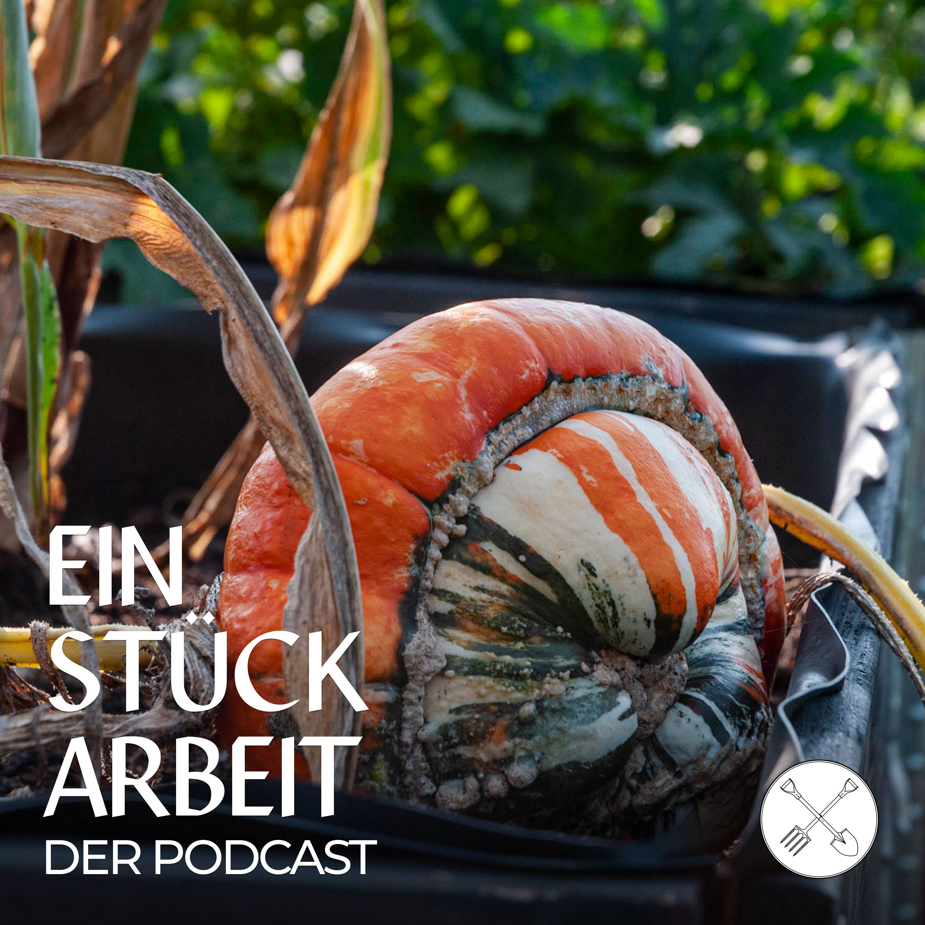 Happy Herbstanfang! – Was ihr im September und Oktober im Garten machen könnt