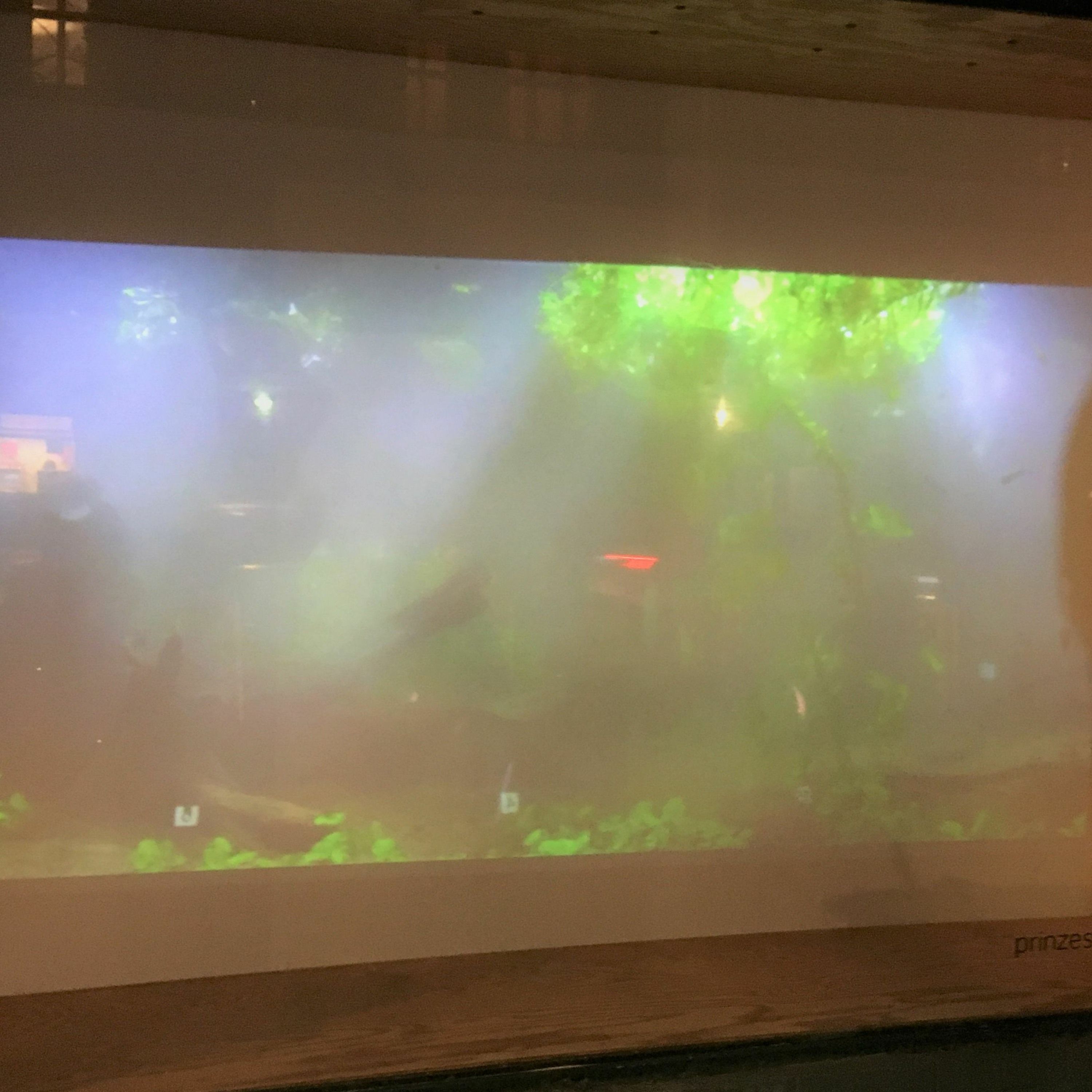 Haptic Hortus: Wasserpflanzen zum Klingen bringen