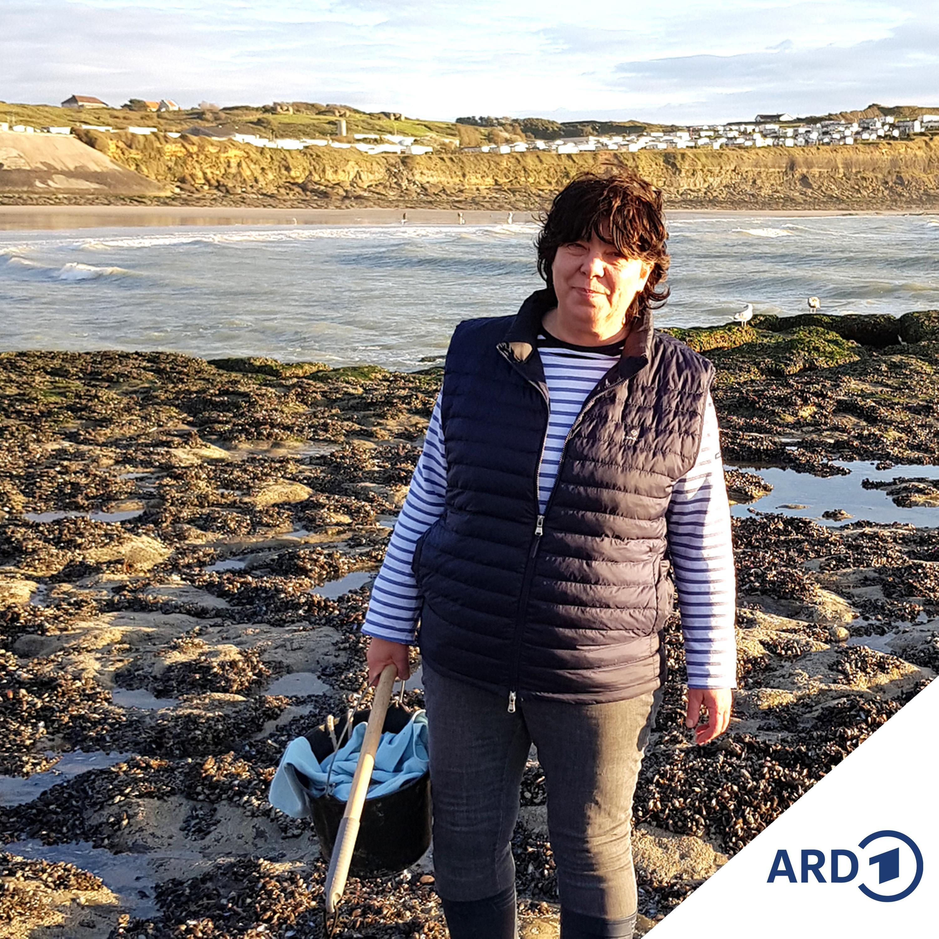 Hauts de France - Vielfalt im Norden Frankreichs