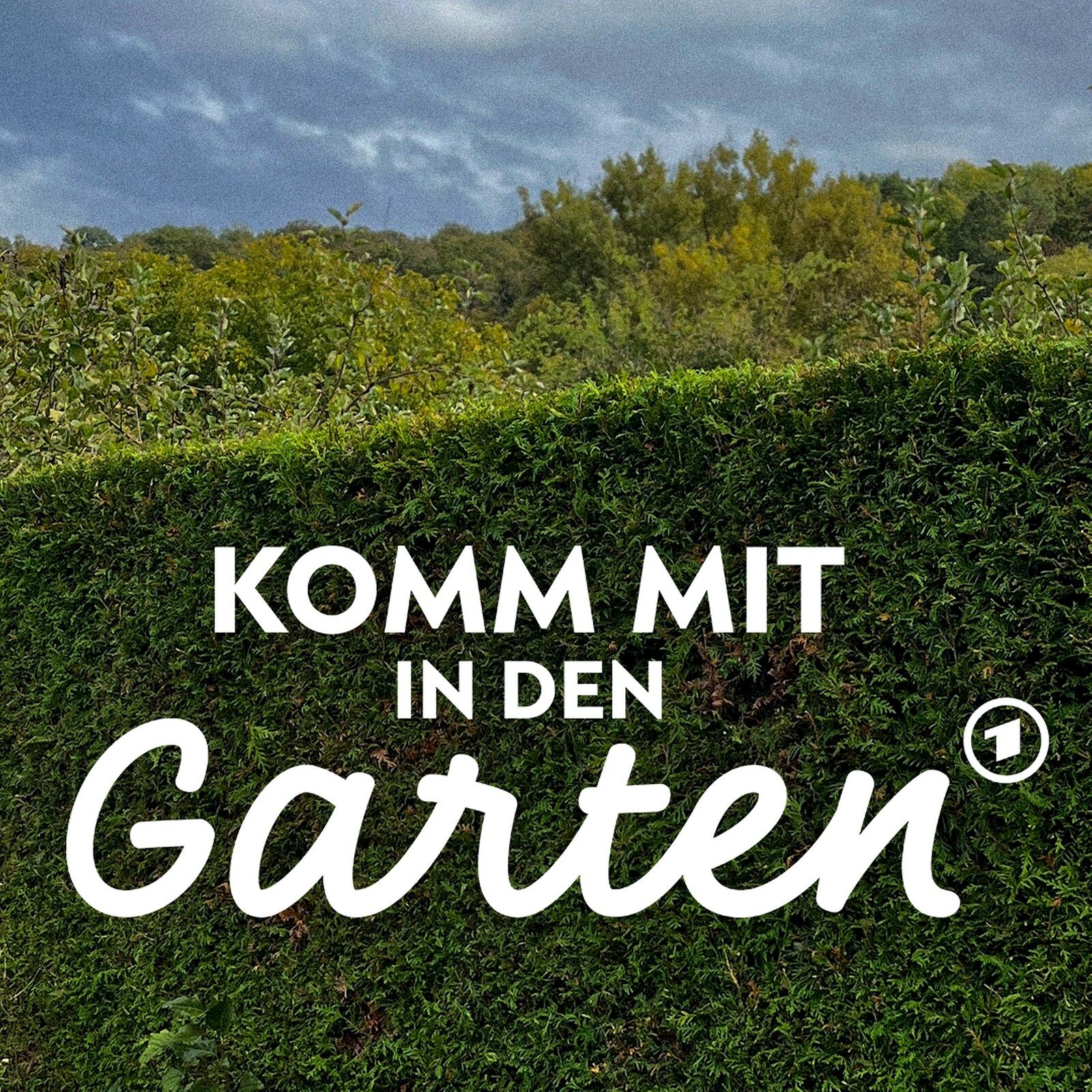 Heckenschnitt - was ist erlaubt?