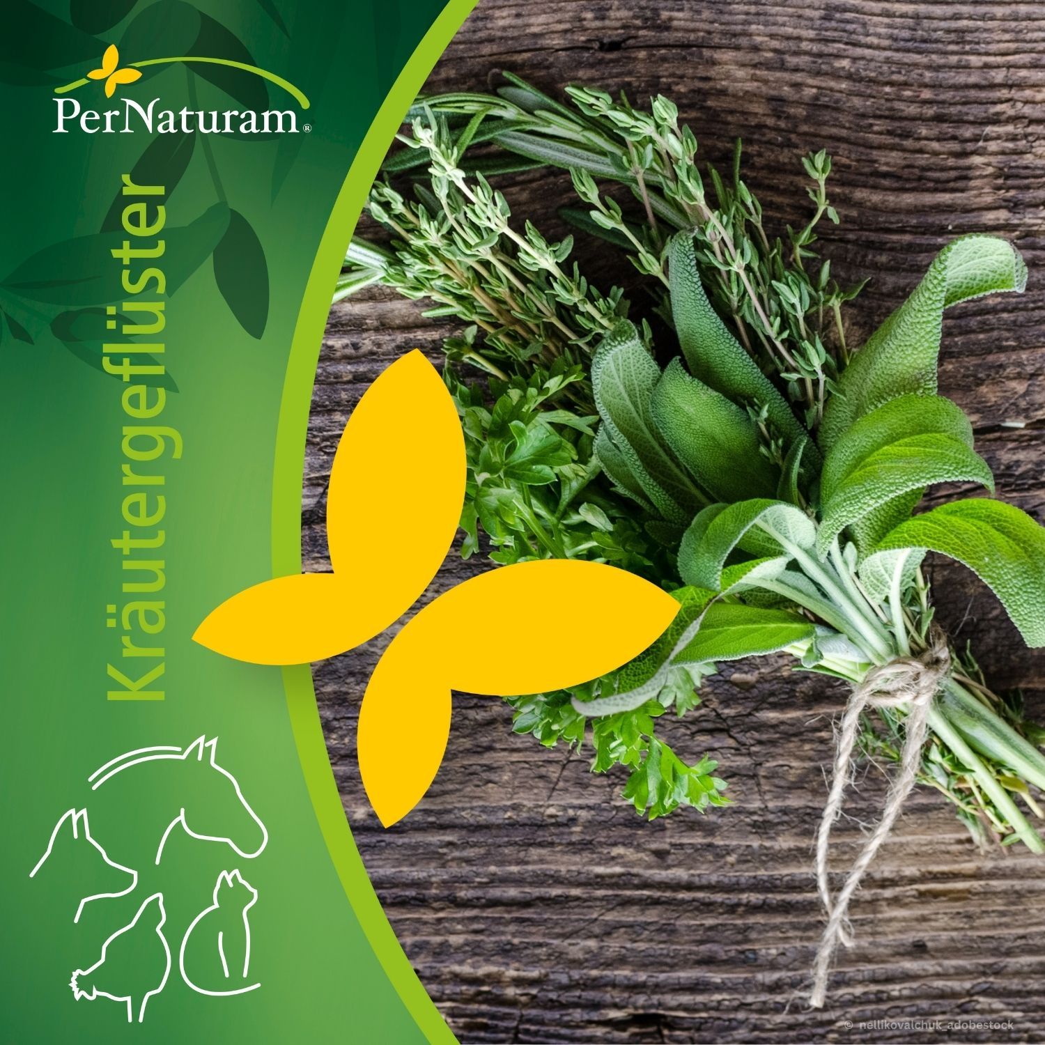 Heilkräuter & Synergien