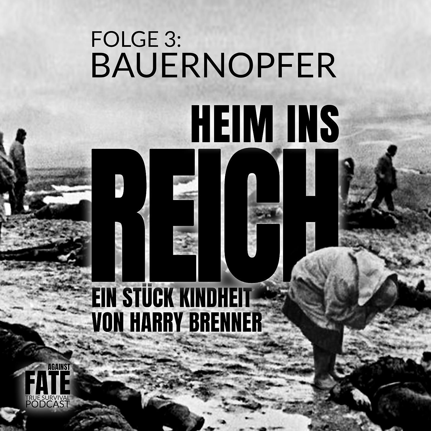 Heim ins Reich, ein Stück Kindheit von Harry Brenner 3: Bauernopfer