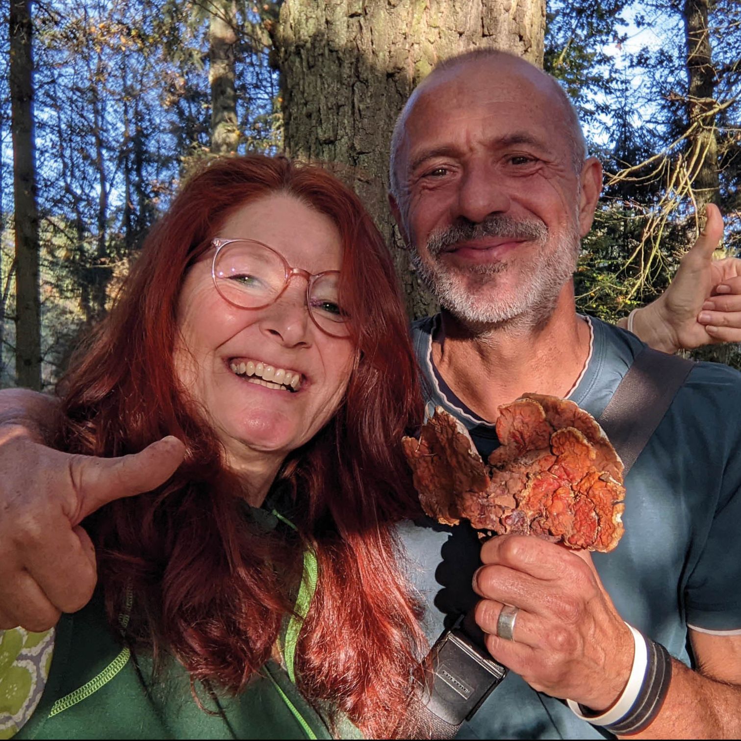 Heimische Baumpilze - Rezepte und Anleitungen