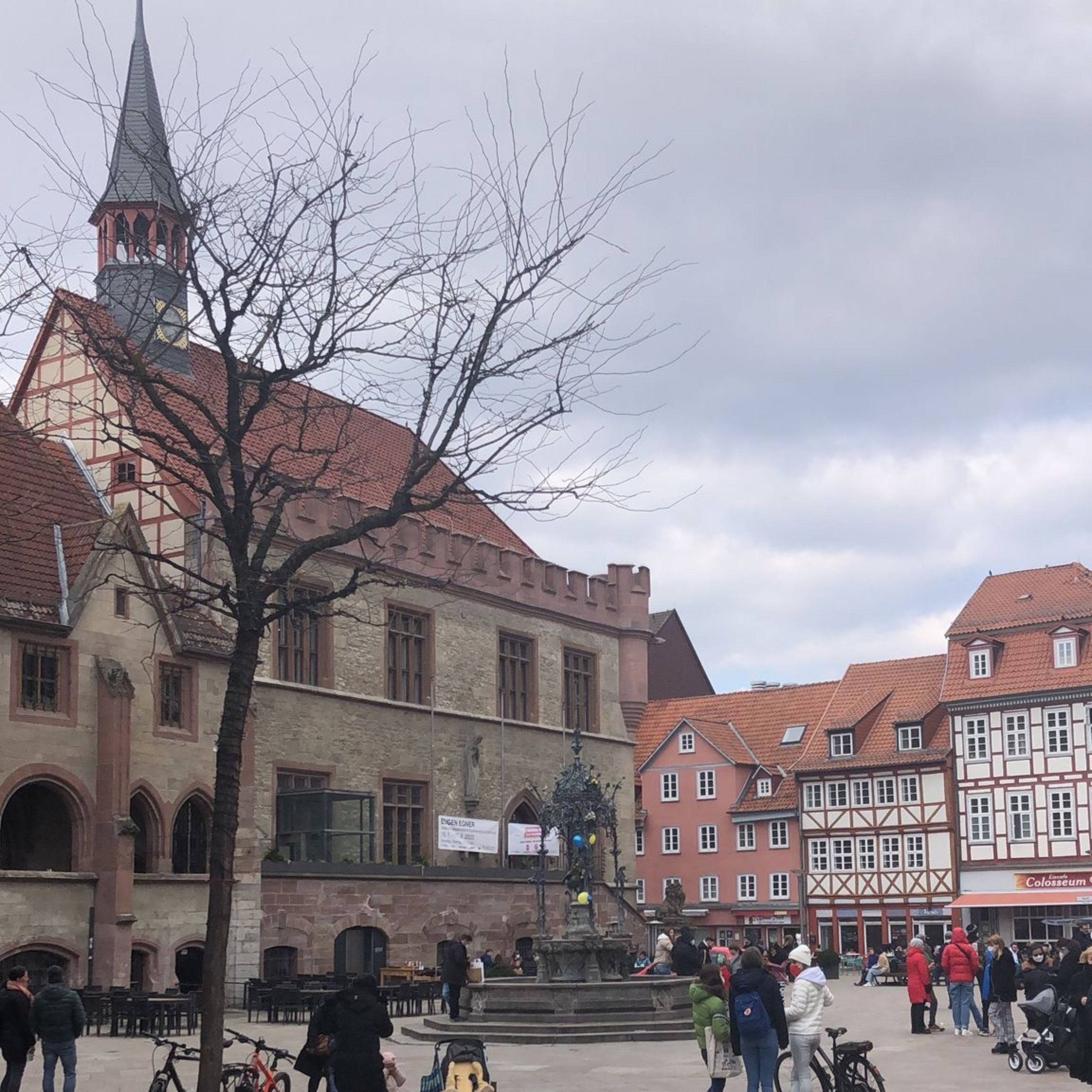 Heimkehr nach Göttingen – Ein Herbstspaziergang voller Dankbarkeit