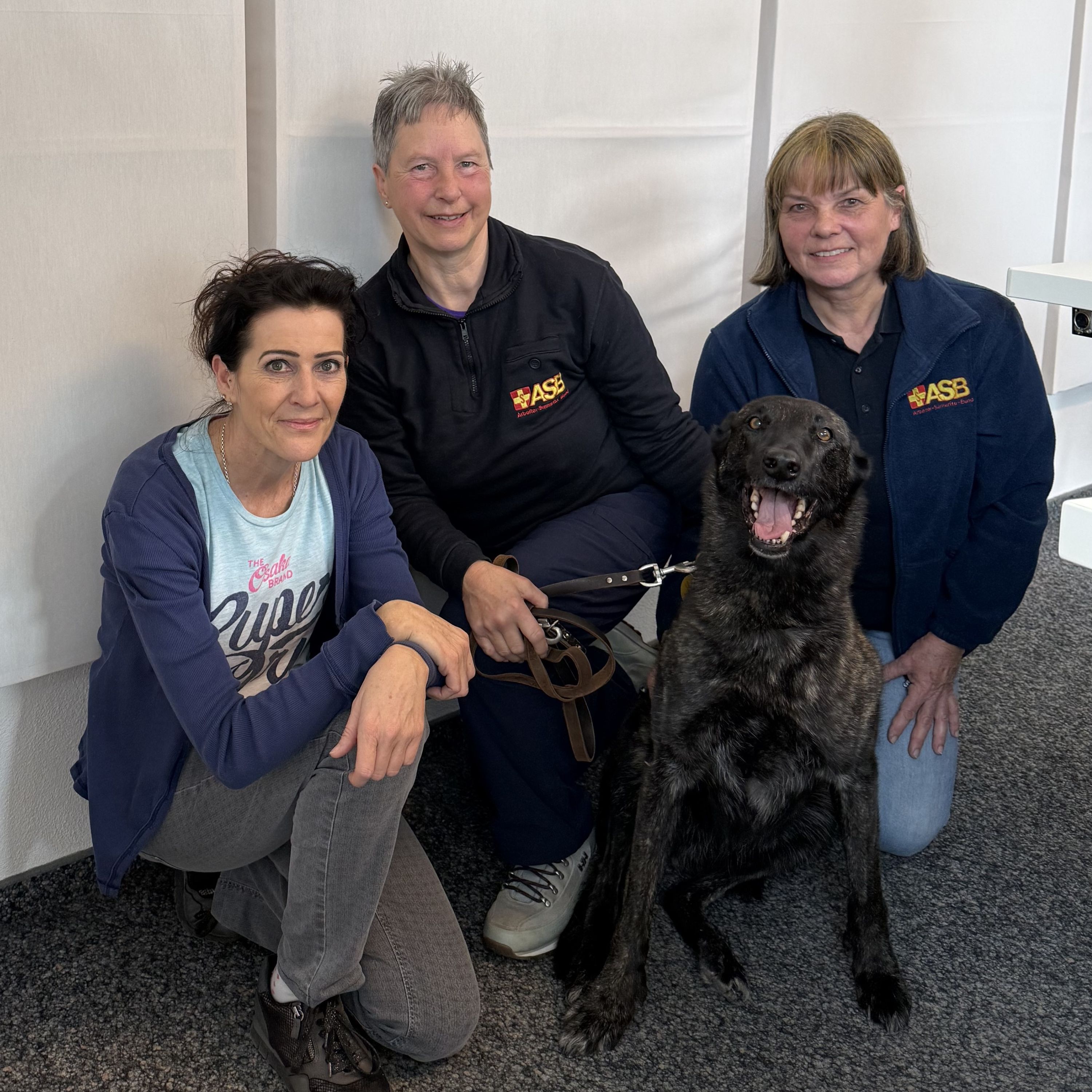 Helden auf vier Pfoten: Die ASB Rettungshundestaffel Allgäu zu Gast im AllgäuHit Kaffeeklatsch