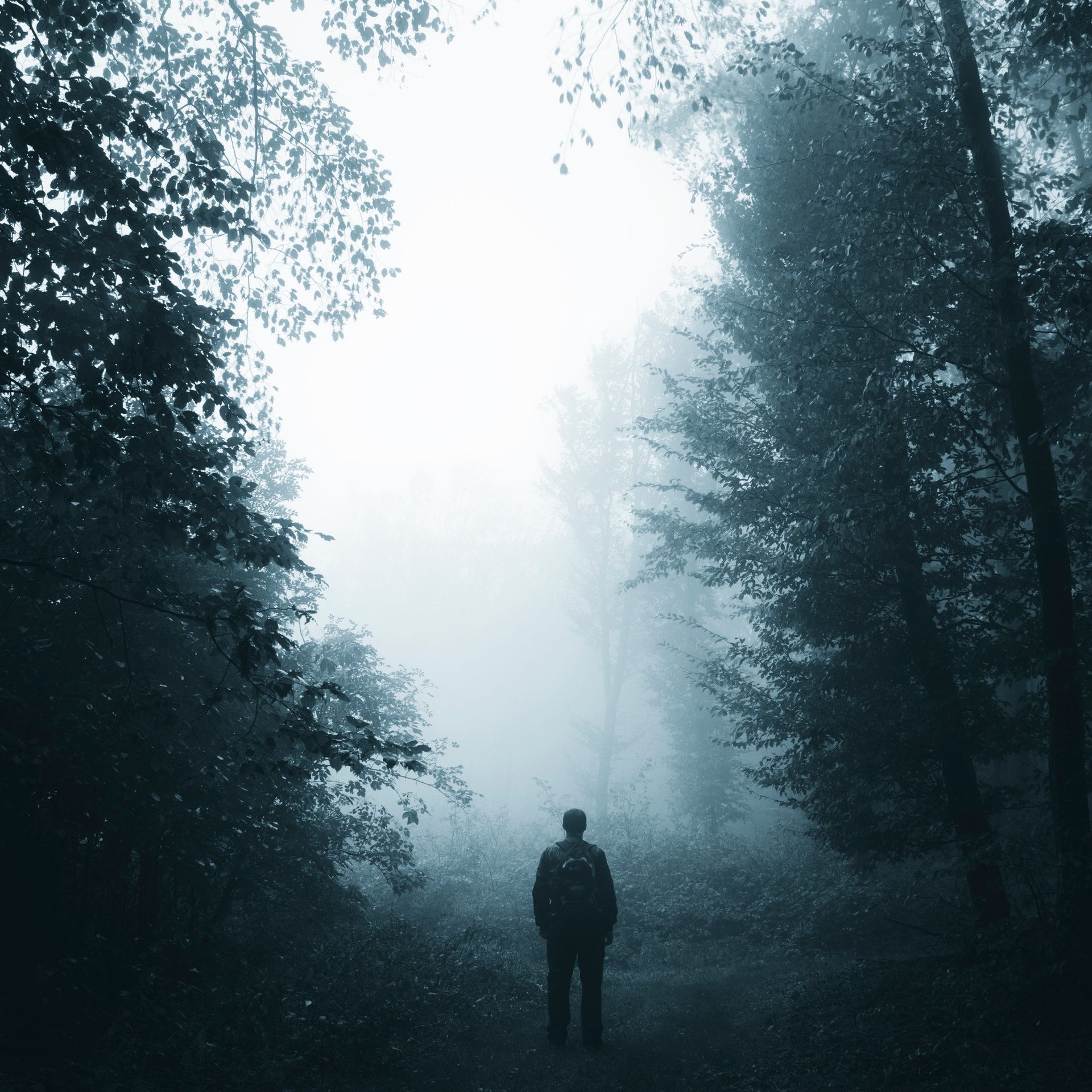 Helga M. Novak: Die Schwedenchronik