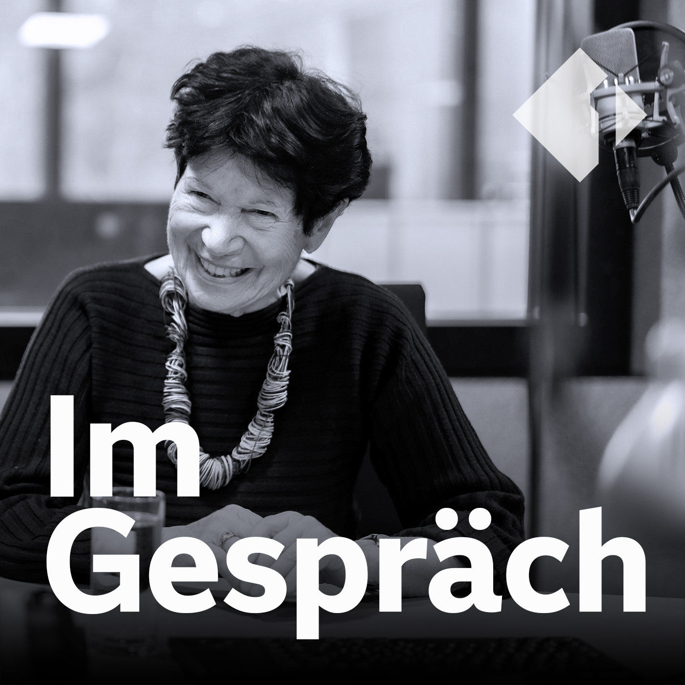 Helga Nowotny - Langversion