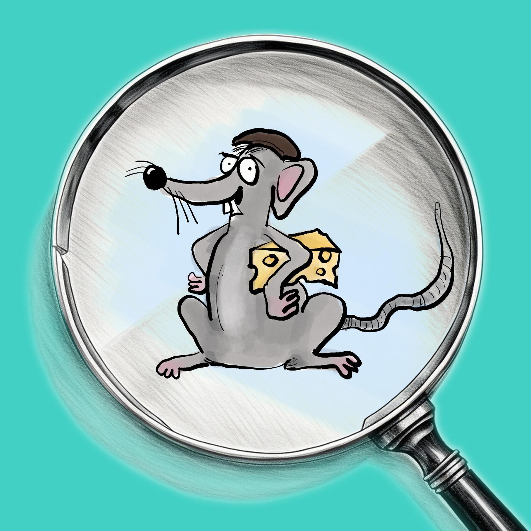 Henri Schnurr: der Auftrag